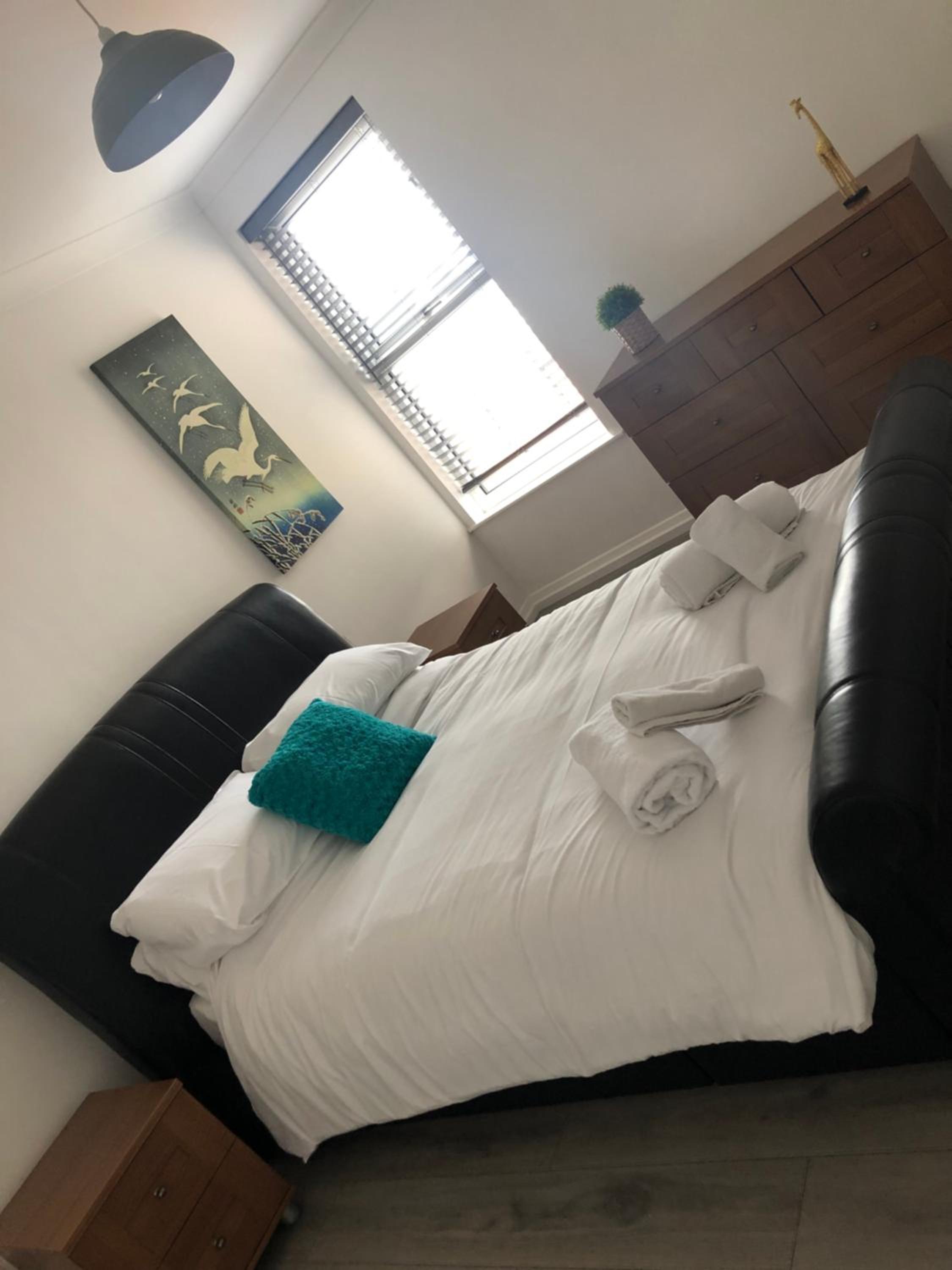 One-Bedroom Apartment photo 2