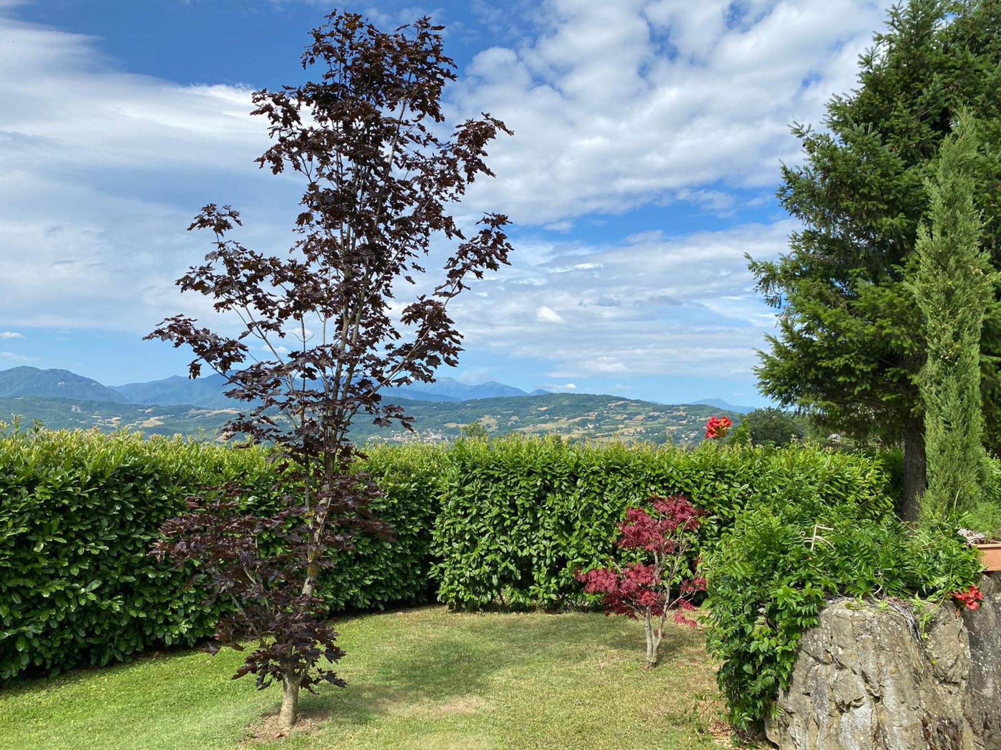 Apartment with Mountain View photo 3