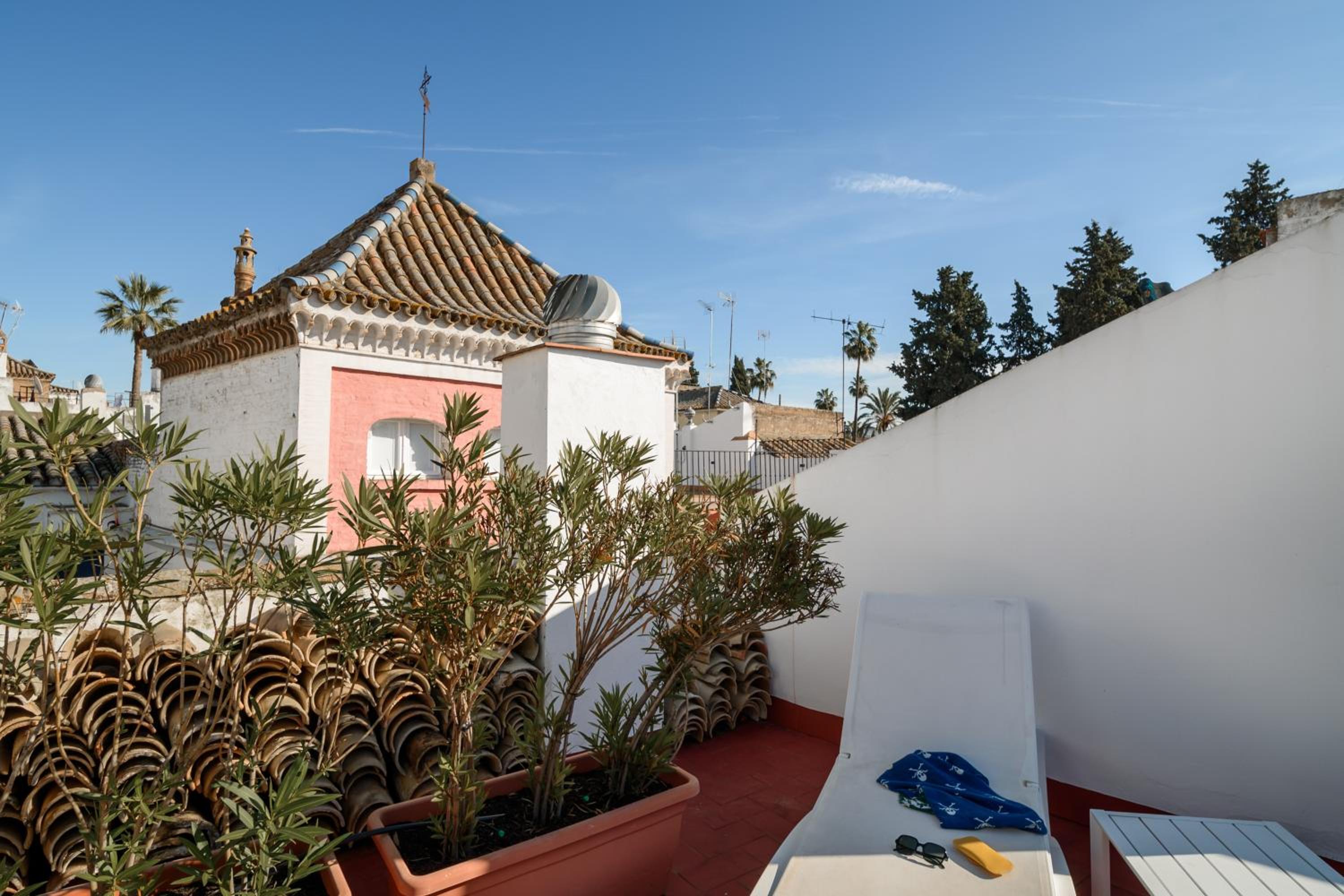 Apartment with Terrace - Photo 2