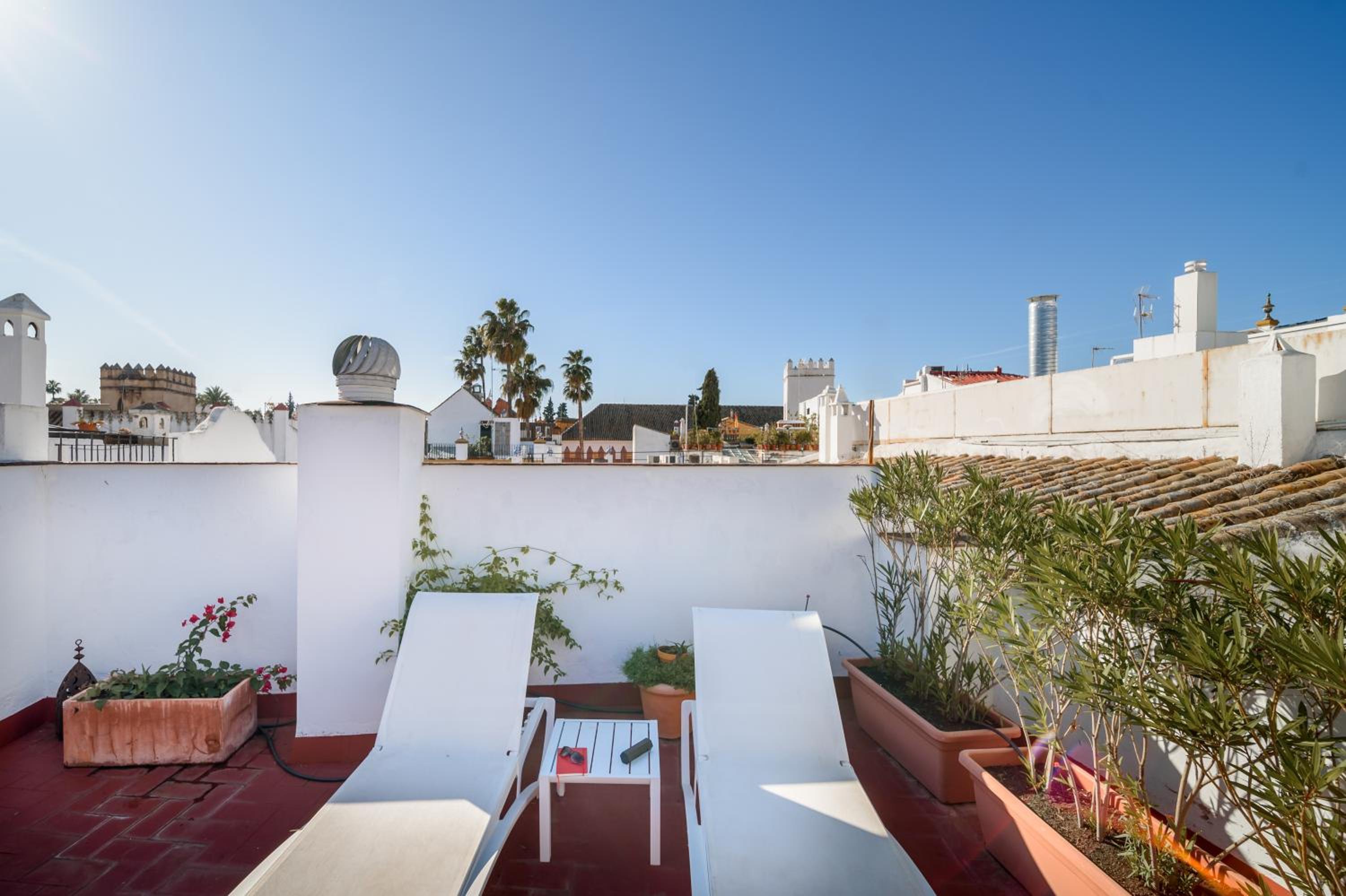 Apartment with Terrace - Photo 7