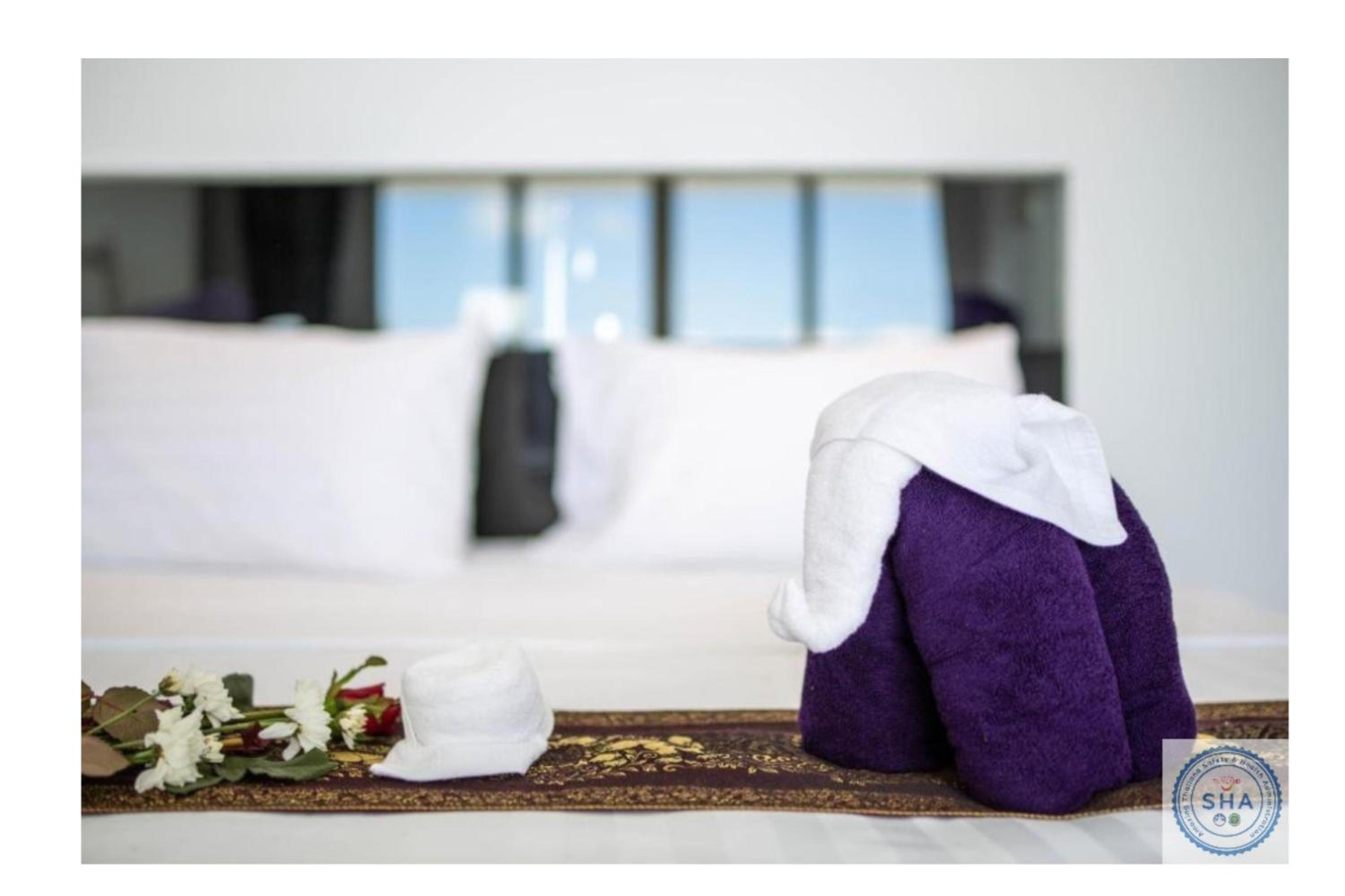 Executive Suite - Photo 1