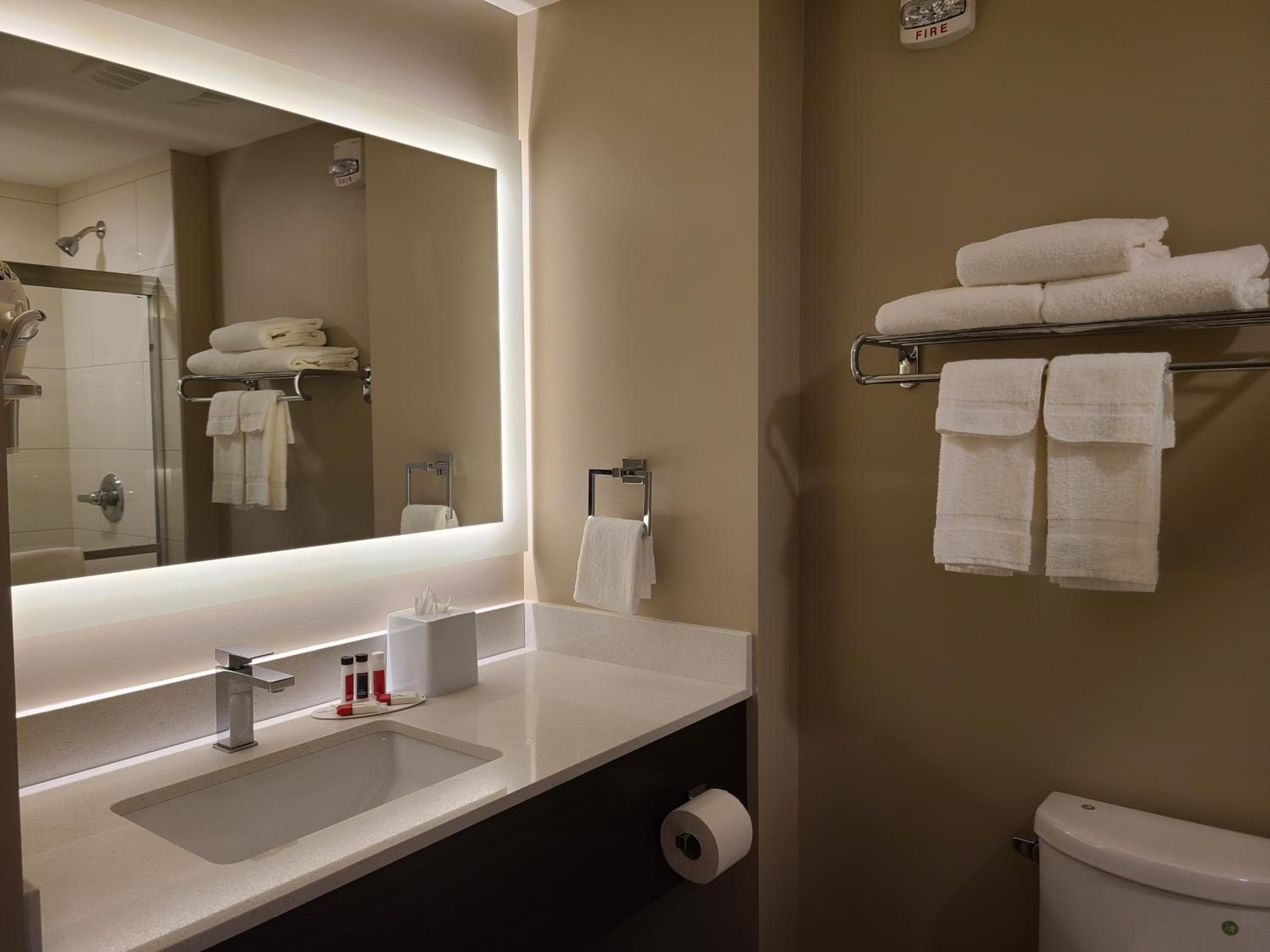 One-Bedroom King Suite - Non-Smoking photo 2