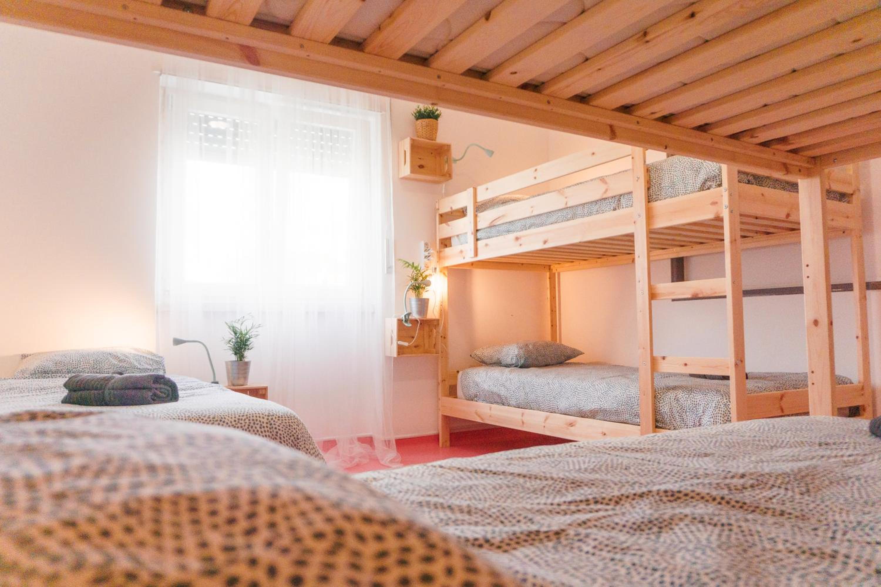 Single Bed in Dormitory Room photo 3