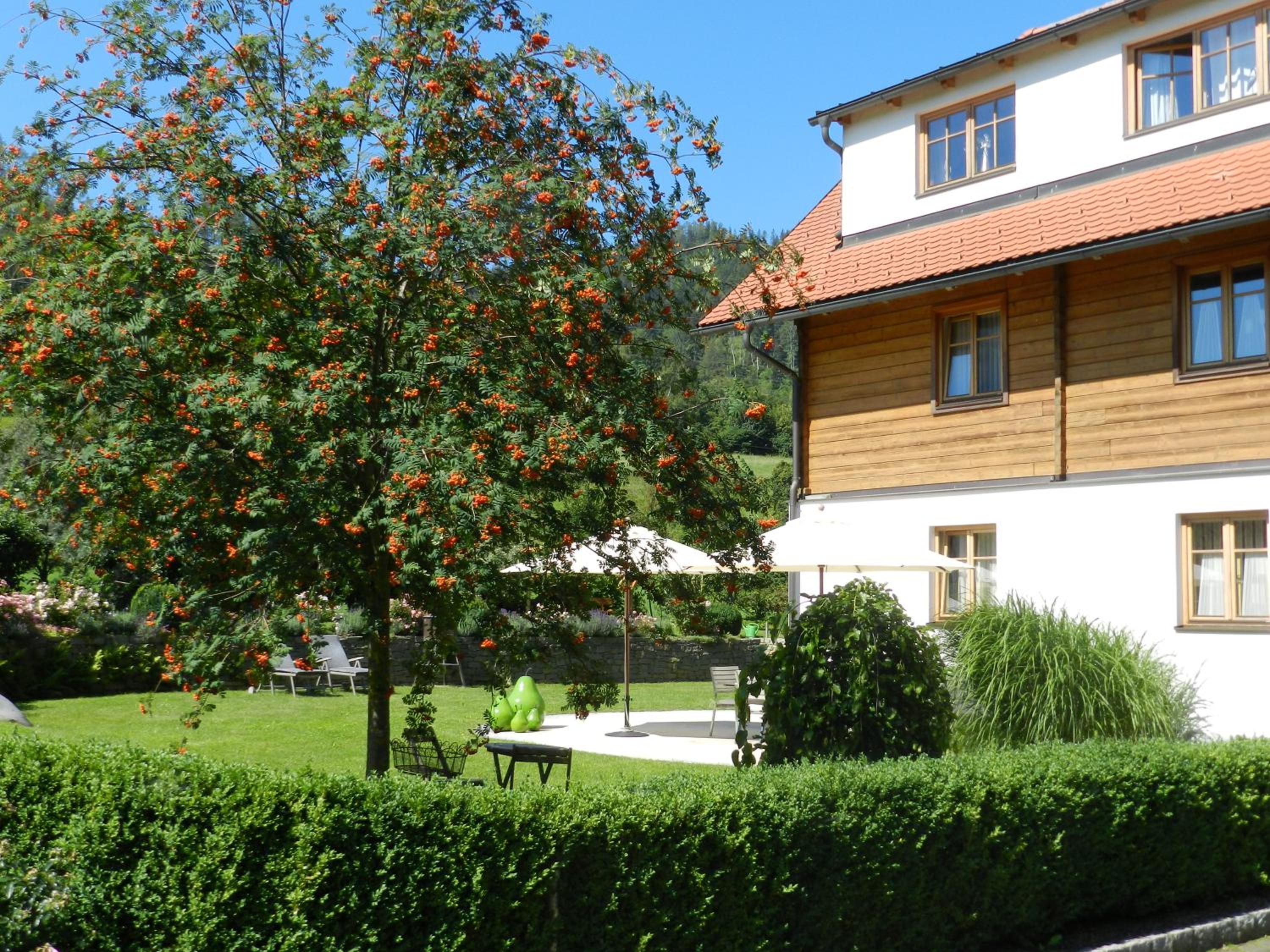 One-Bedroom Apartment with Balcony photo 2