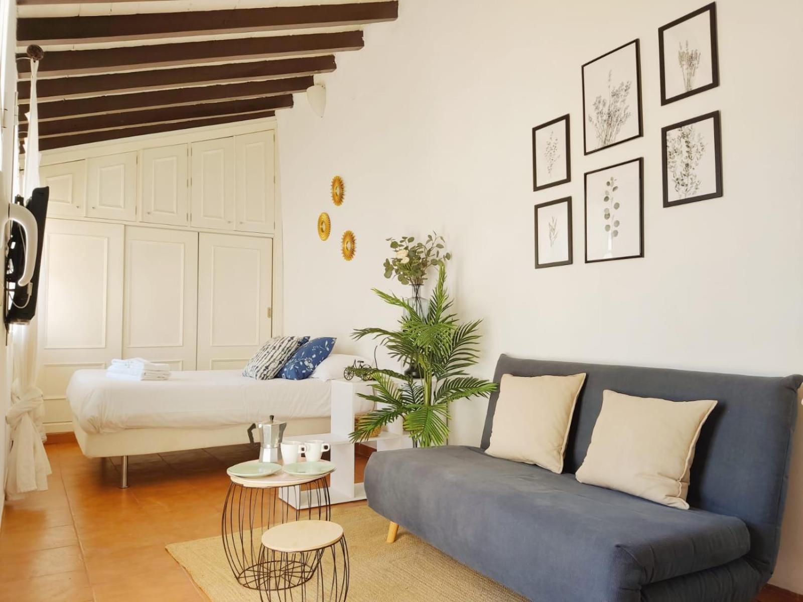 Apartamento Penthouse