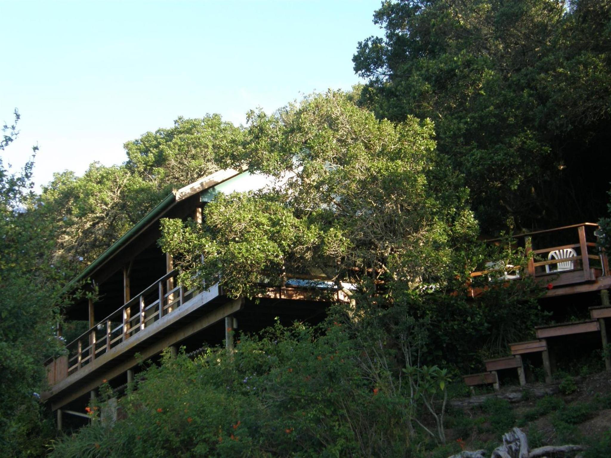 Tented Lodge - Photo 5