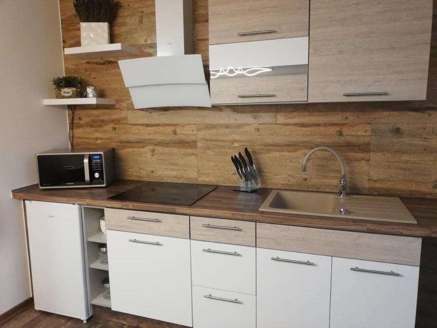One-Bedroom Apartment - Photo 4