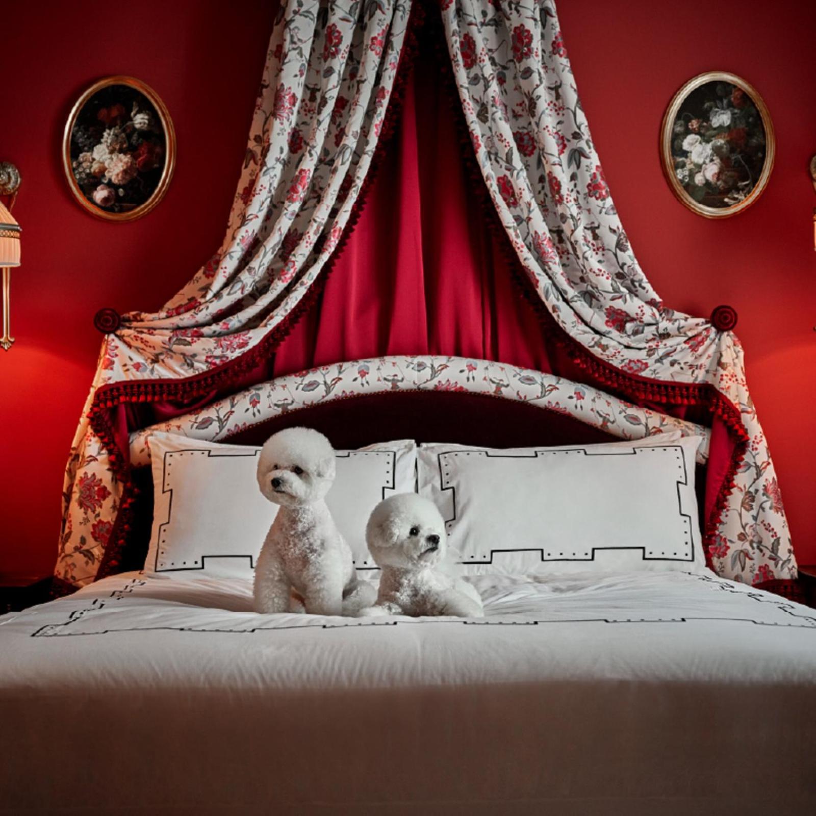 Room Selected At Check-In - Pet Friendly