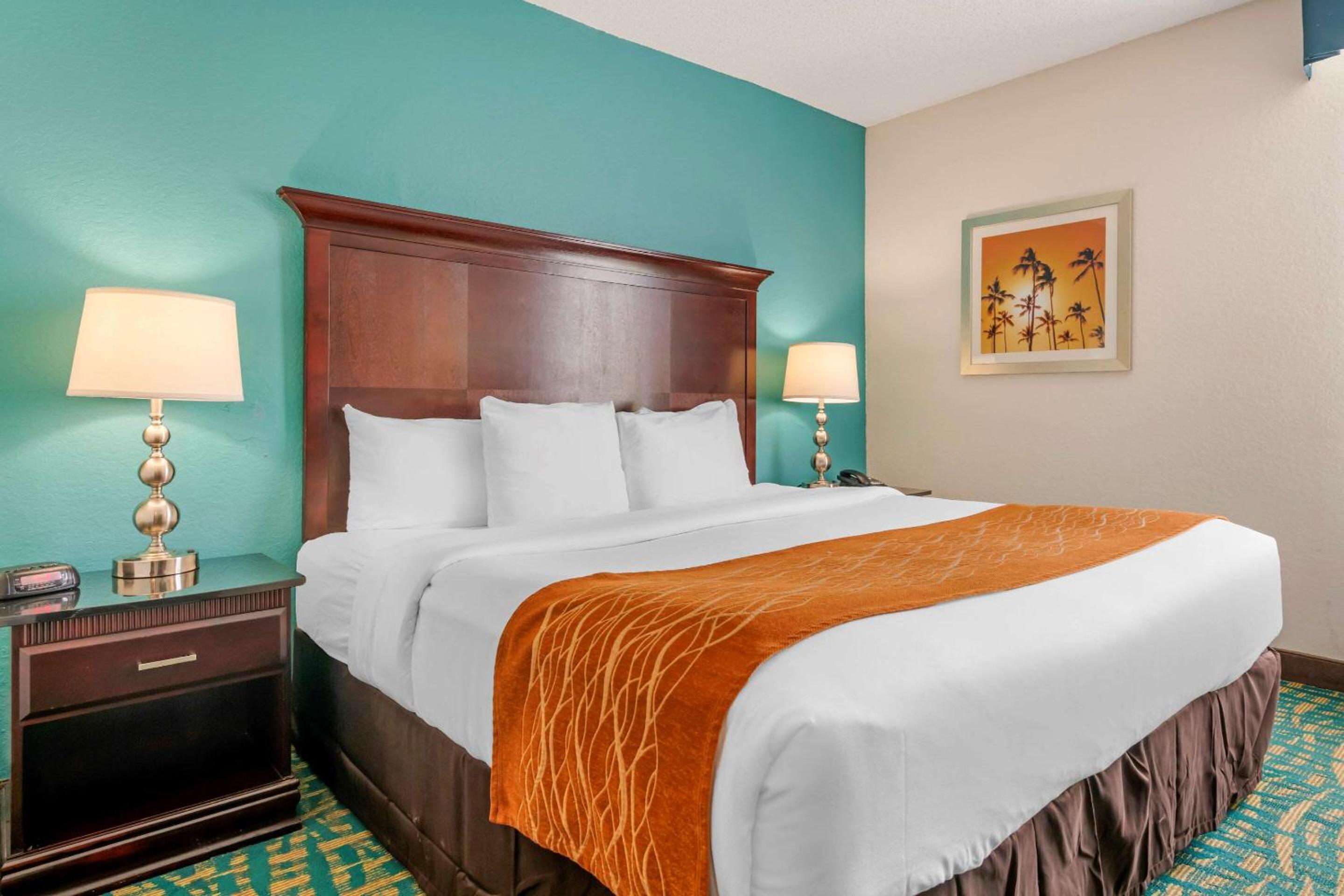 King Suite - Photo 6