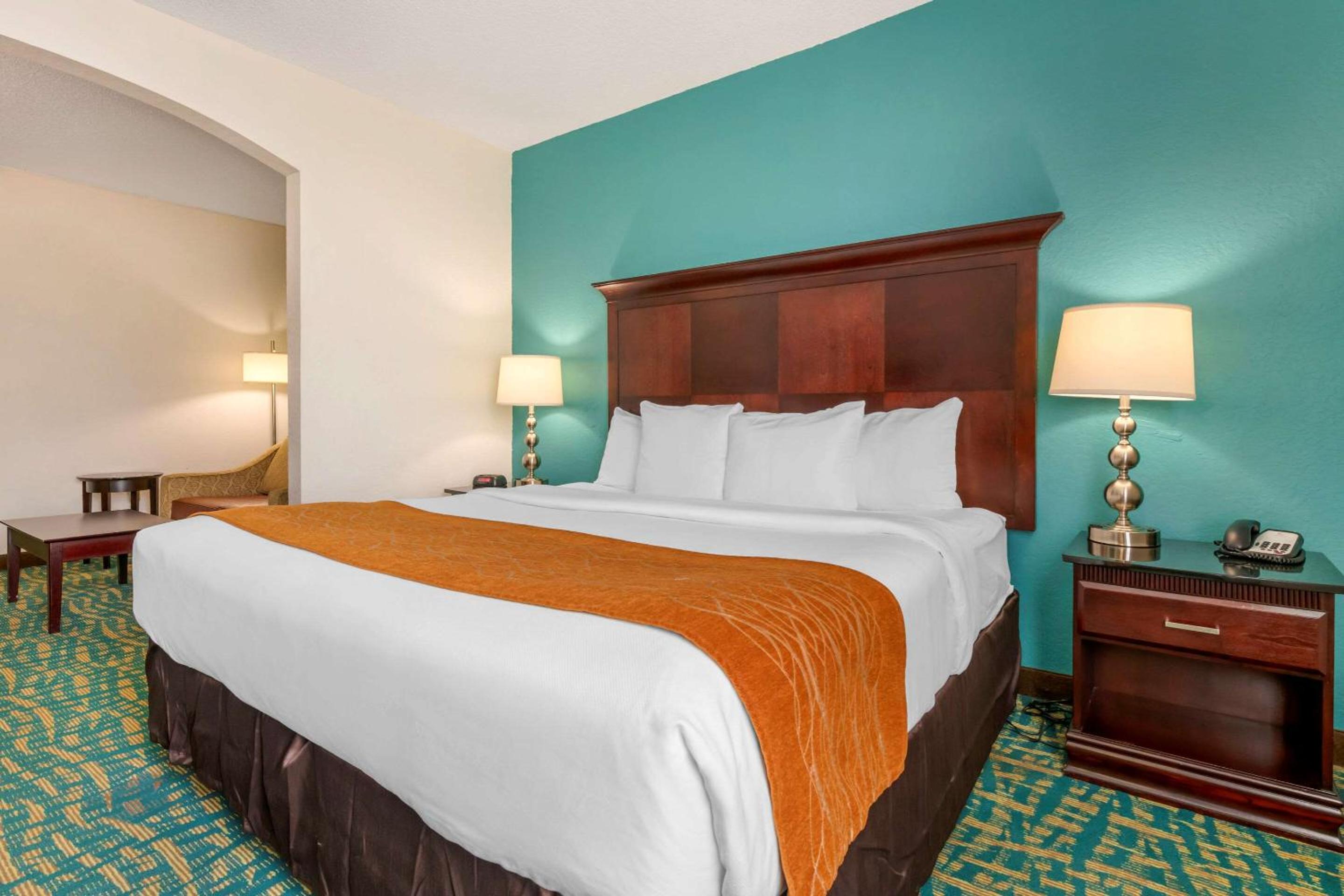 King Suite - Photo 9