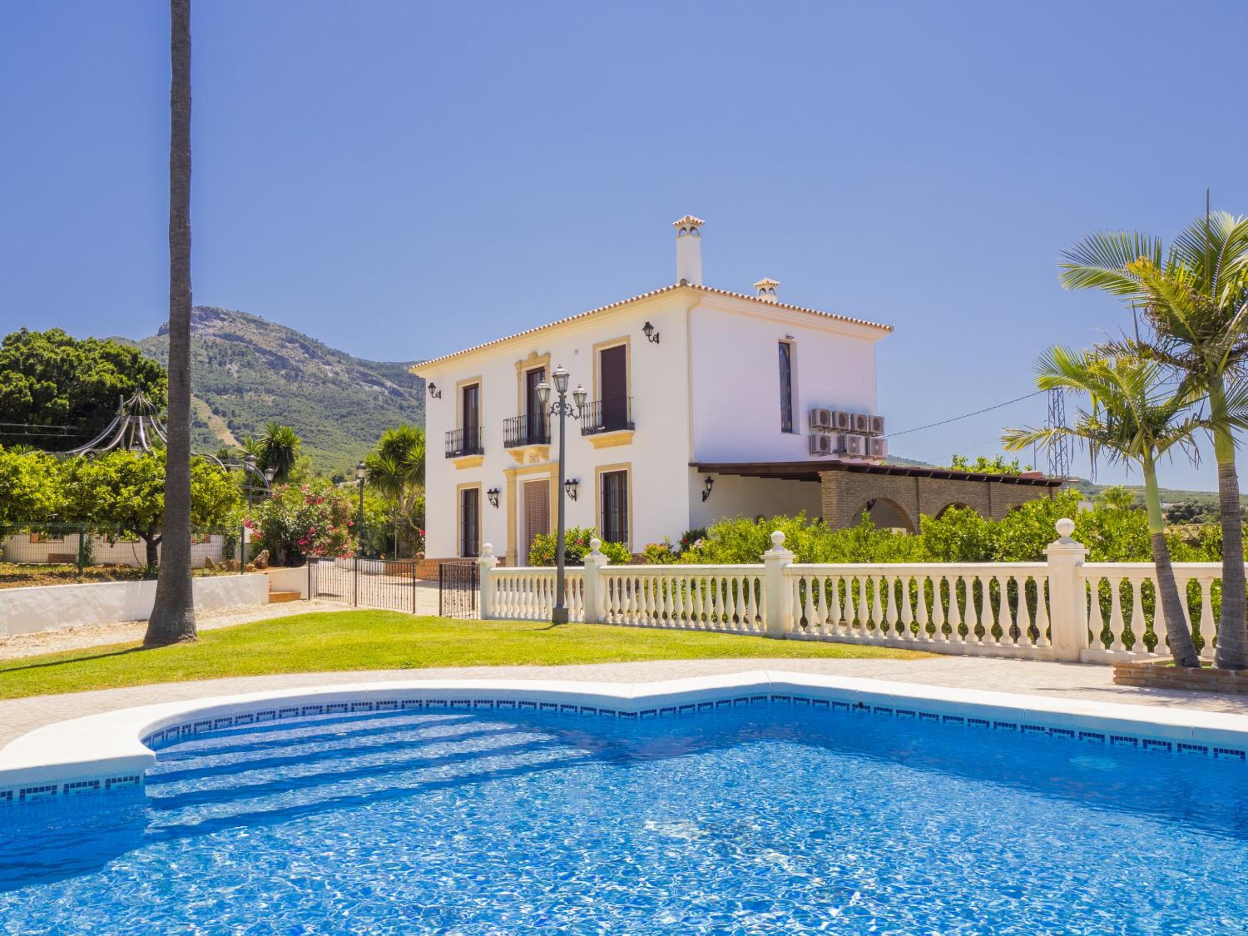 Superior Villa photo 3