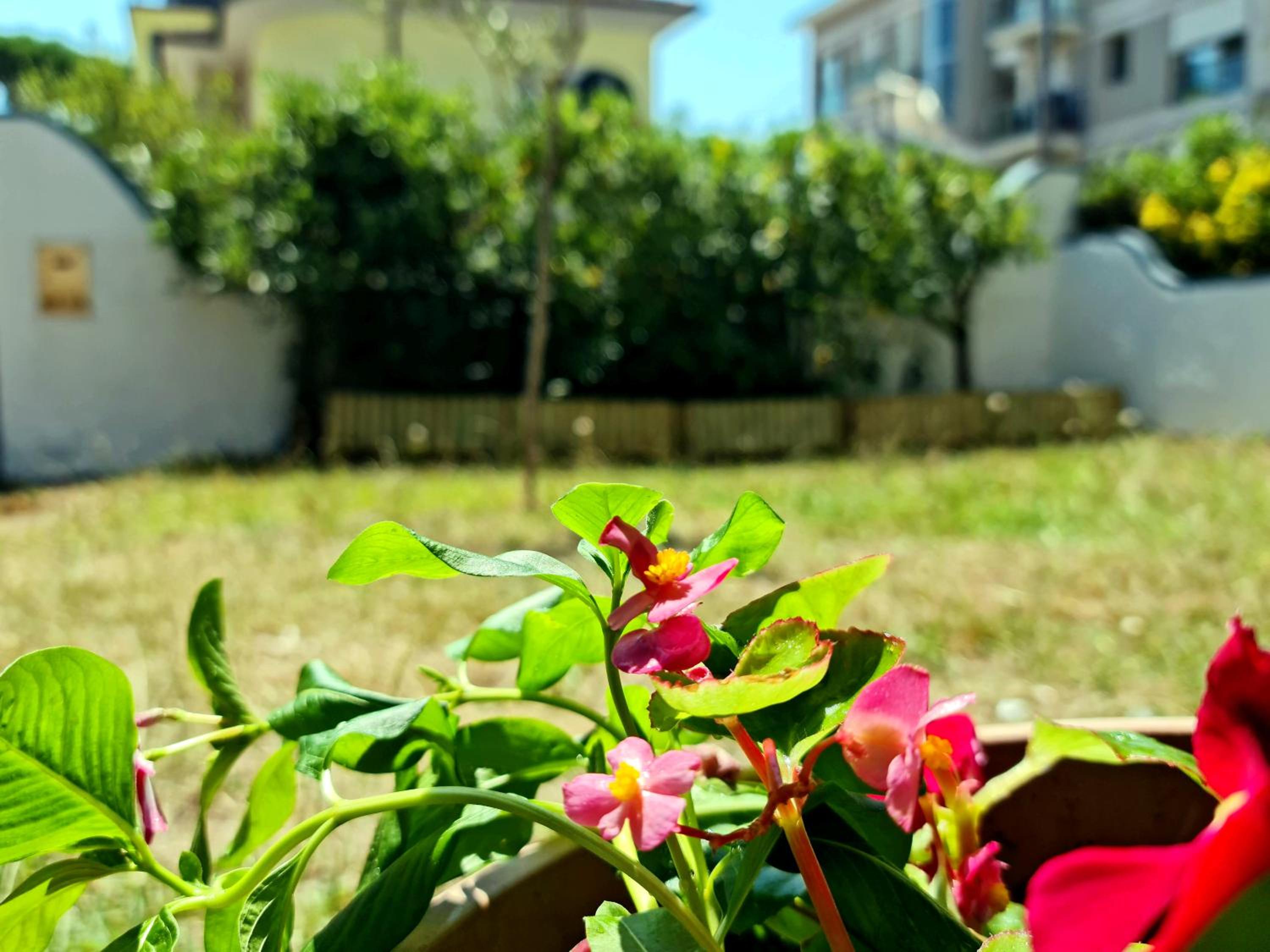 Villa - Photo 22