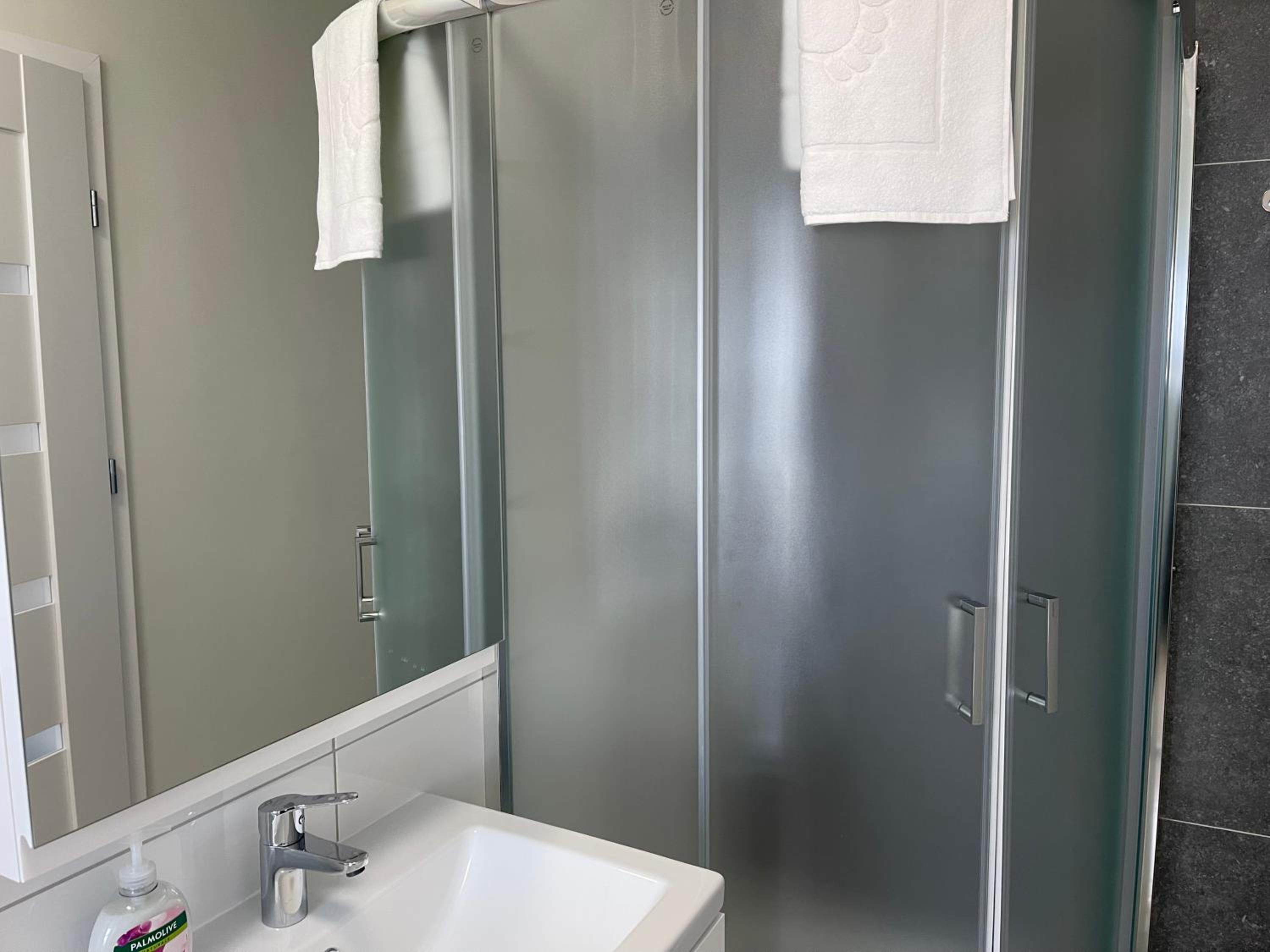 Large Single Room photo 2