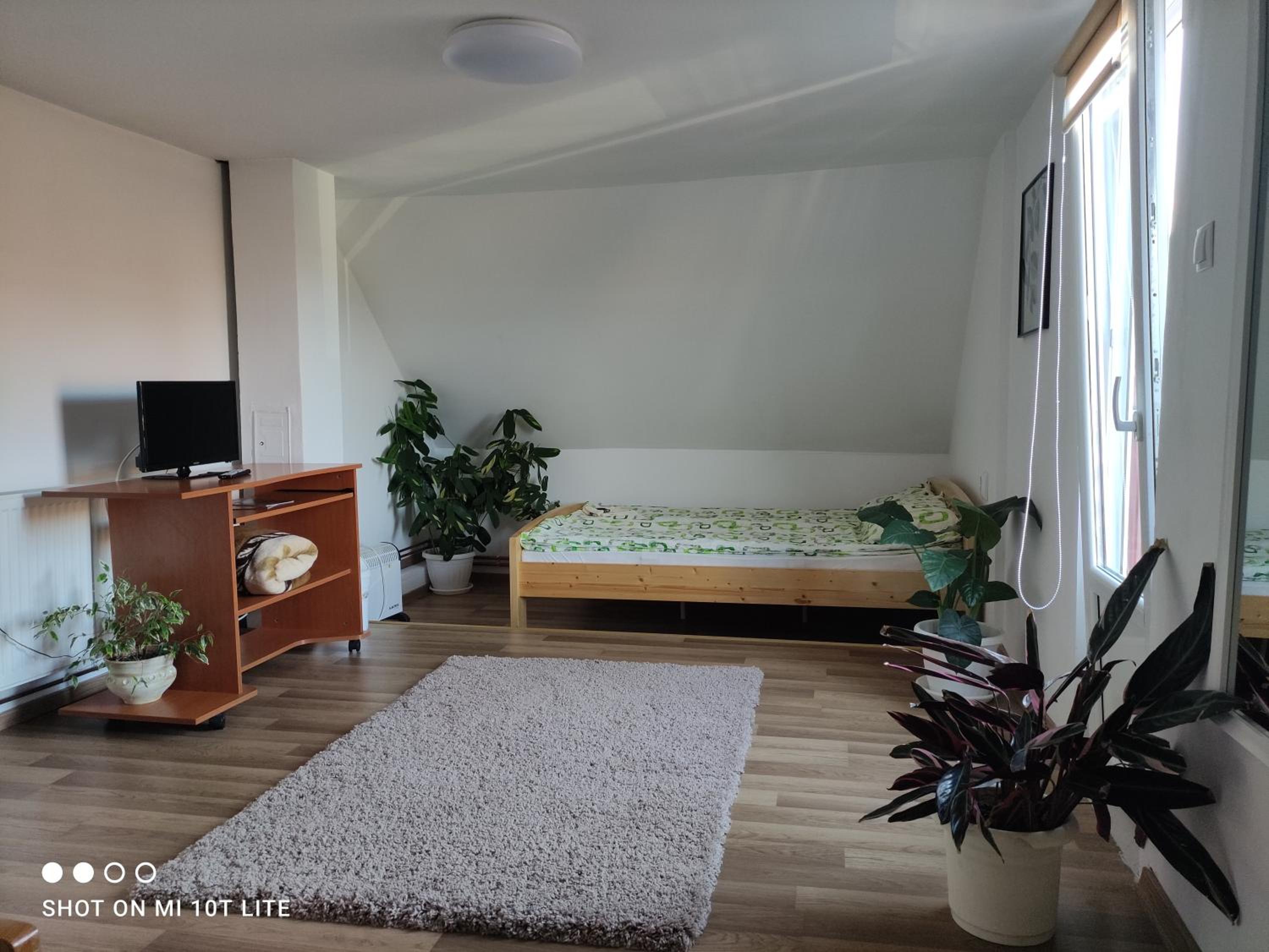 Family Room - Photo 12