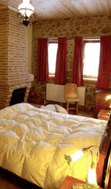 Double Room with Lake View and Fireplace