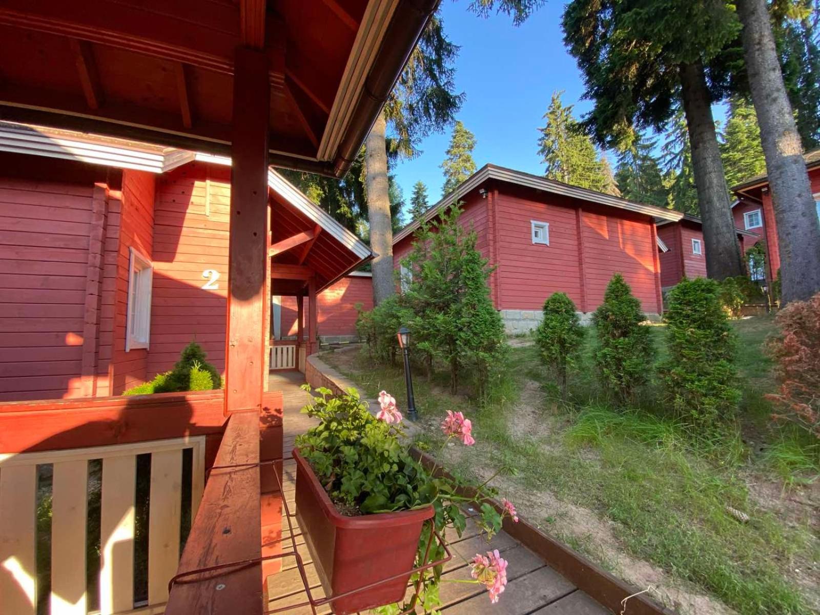 Chalet - Photo 7