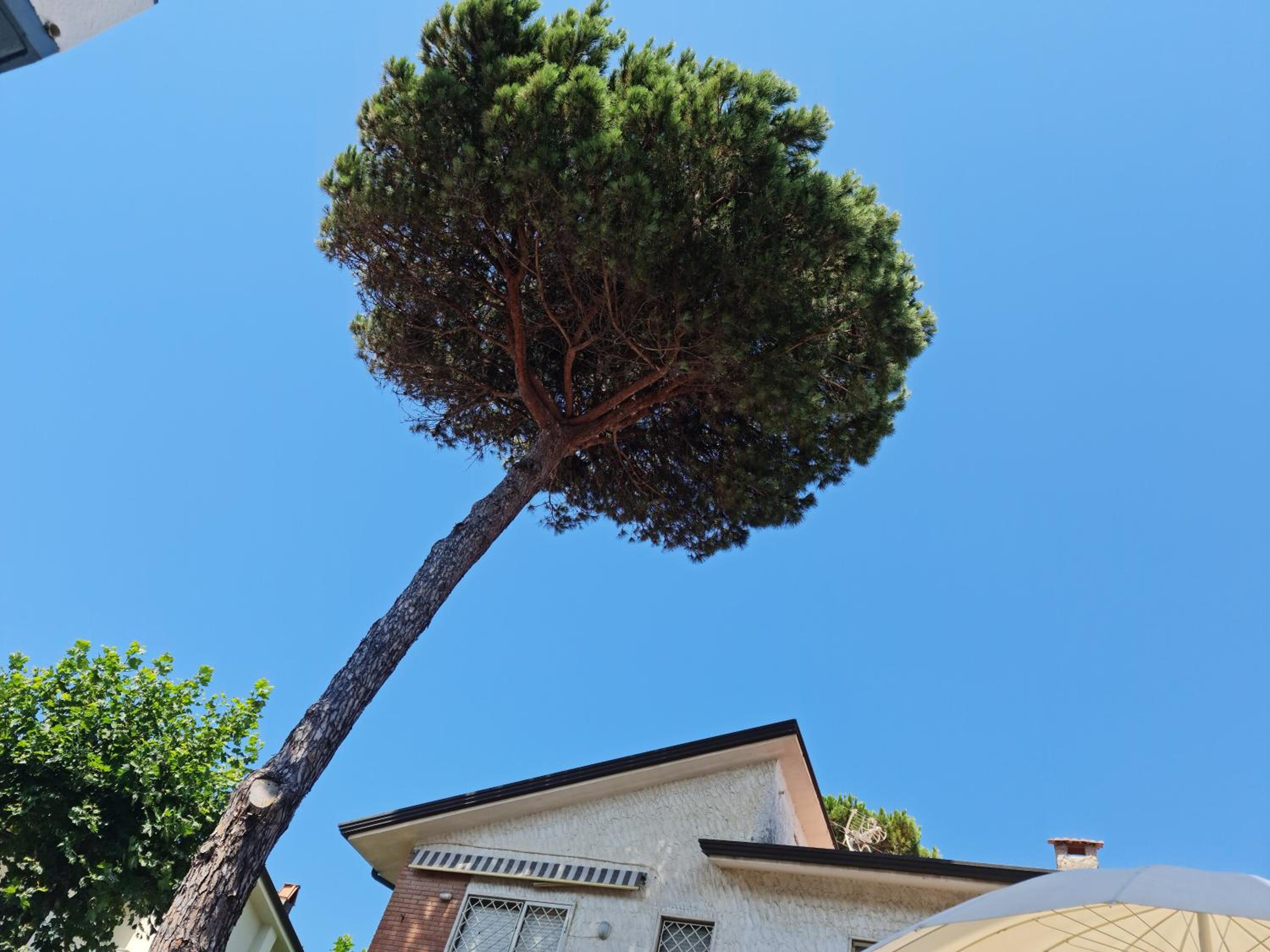 Villa - Photo 12