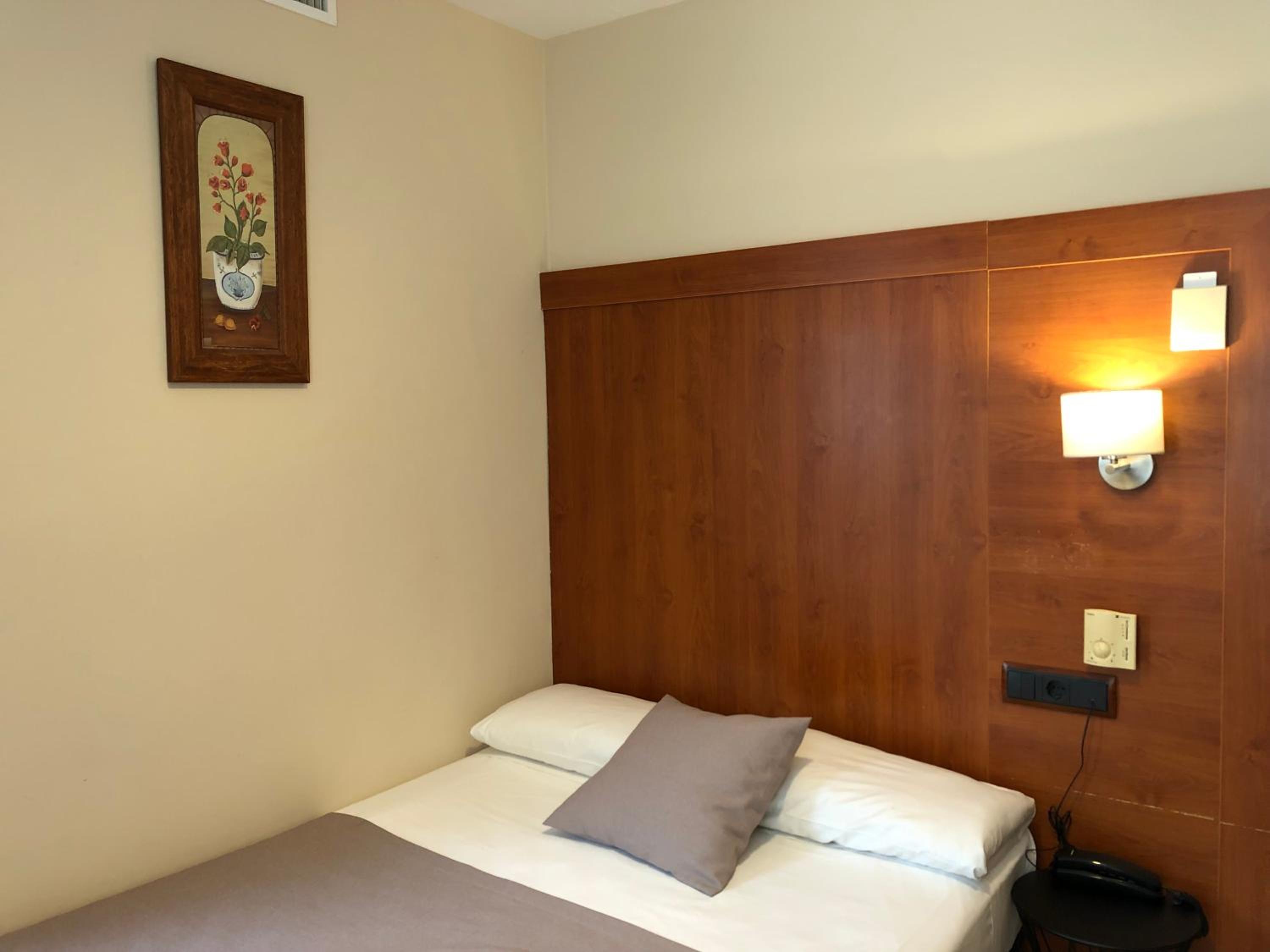 Large Single Room