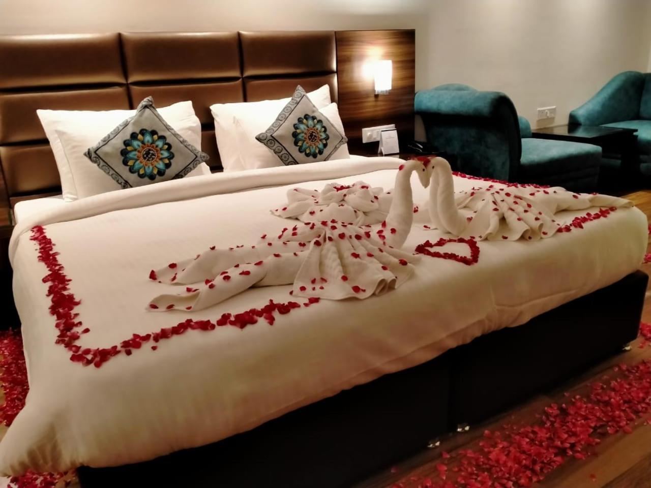 Suite - Photo 2