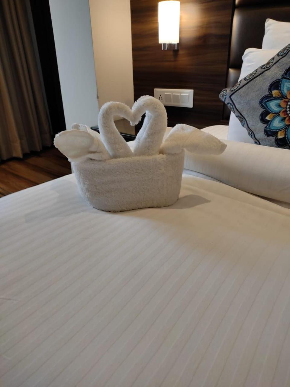 Suite - Photo 10