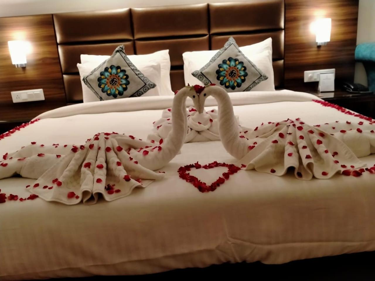 Suite - Photo 3