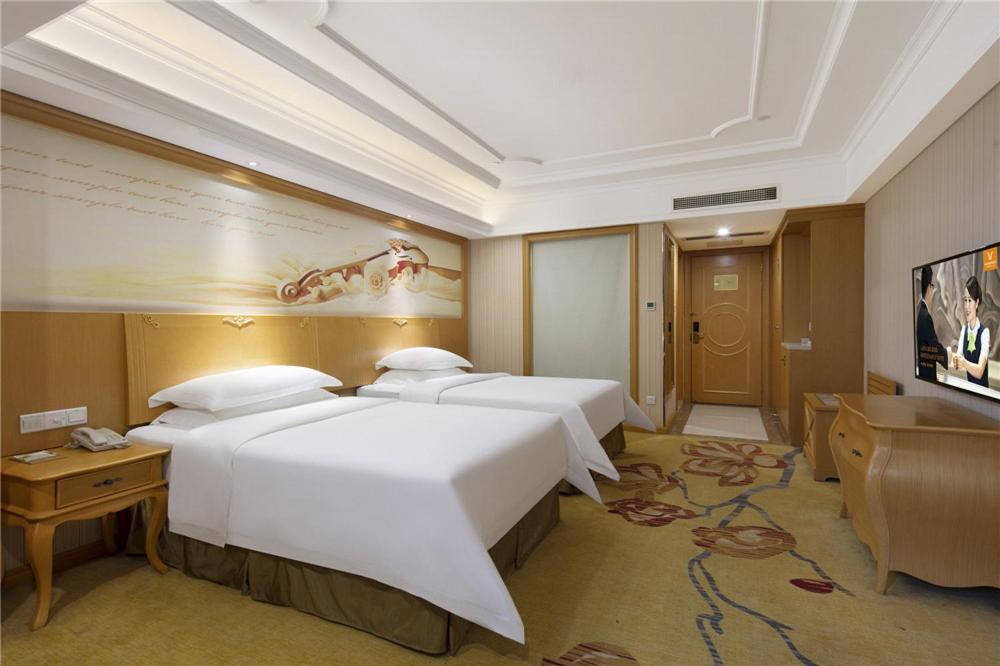 Standard Twin Room photo 1