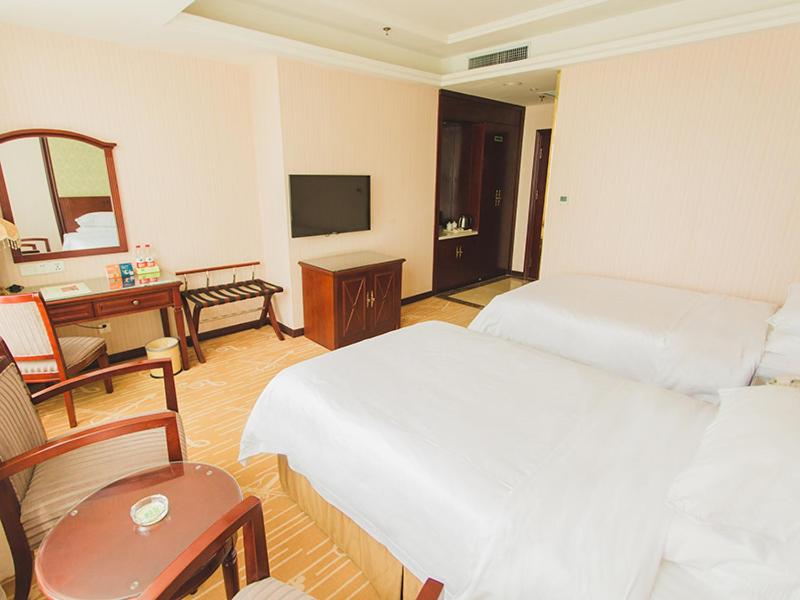 Deluxe Twin Room photo 1