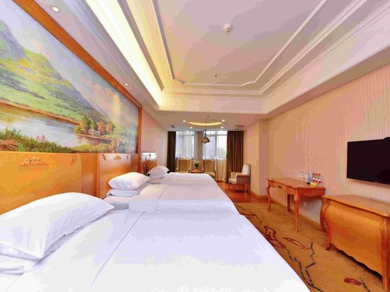 Executive Twin Room photo 3