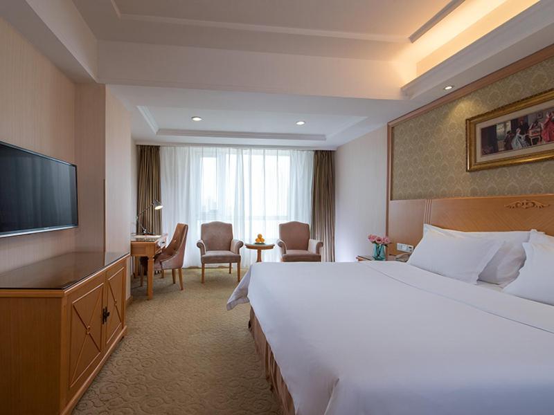 Business Double Room photo 1