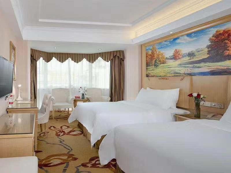Deluxe Twin Room photo 1