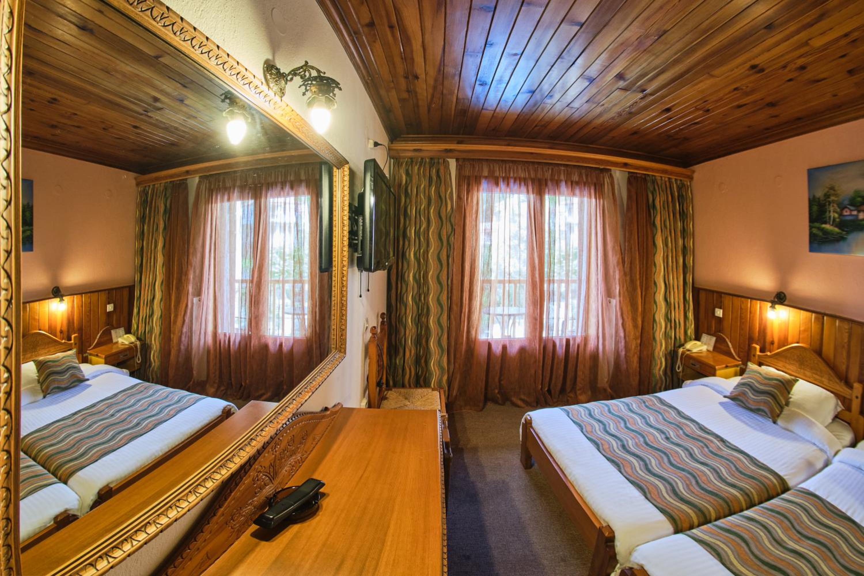 Twin Room with Hydromassage Shower and Mountain View photo 3