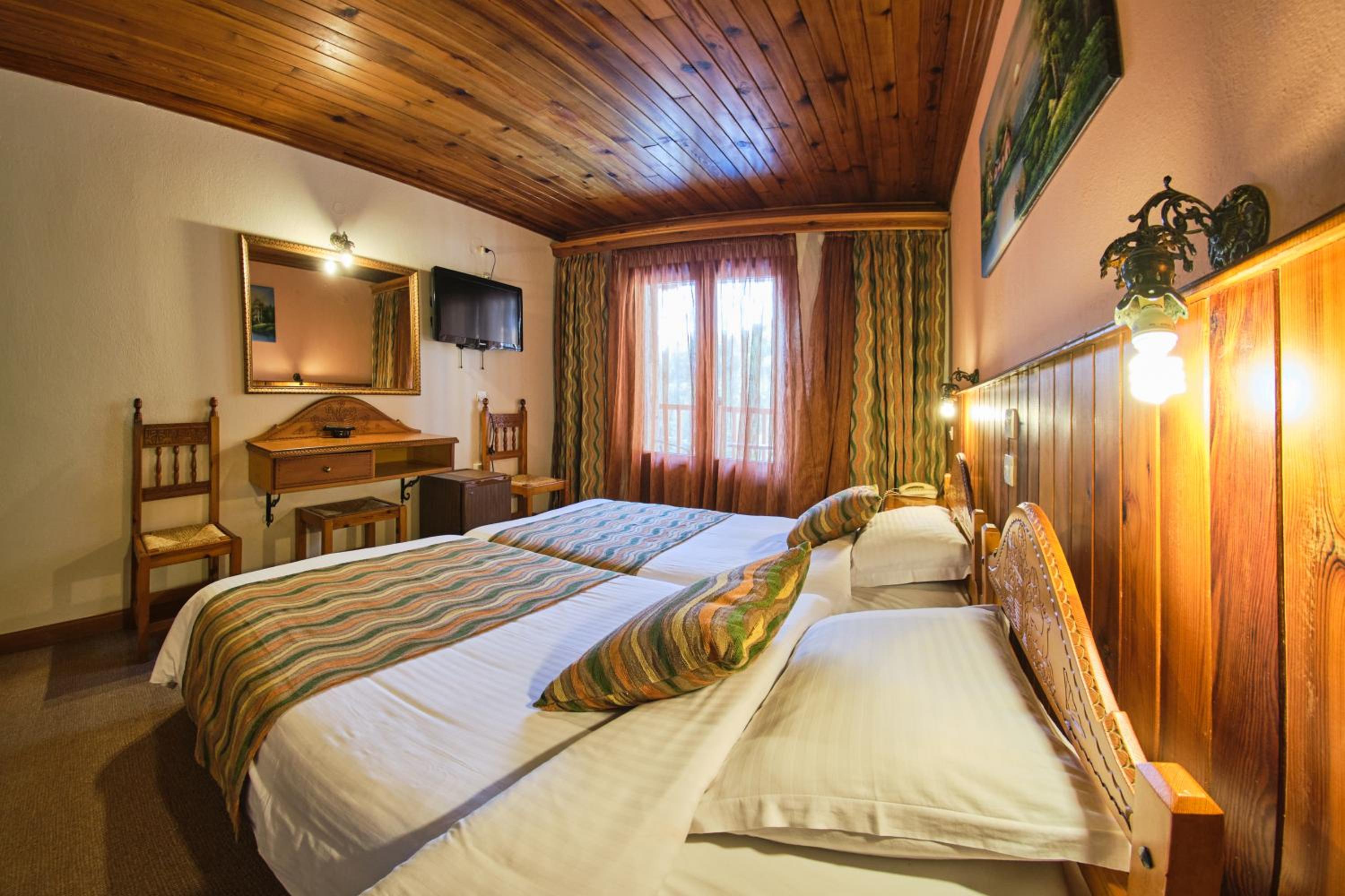 Twin Room with Hydromassage Shower and Mountain View