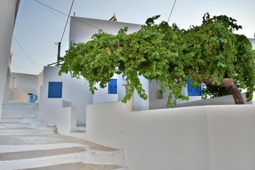 Deluxe Triple Room with Sea View - Photo 10