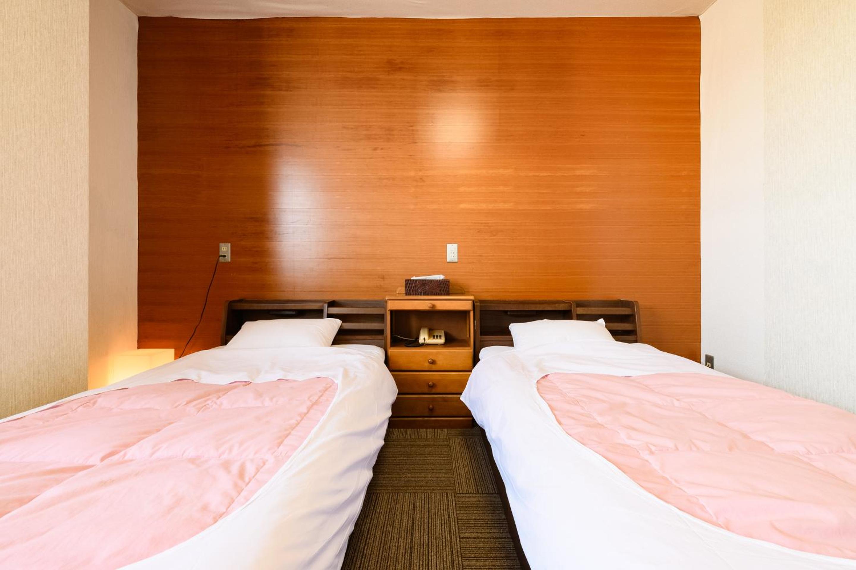 Twin Room photo 3
