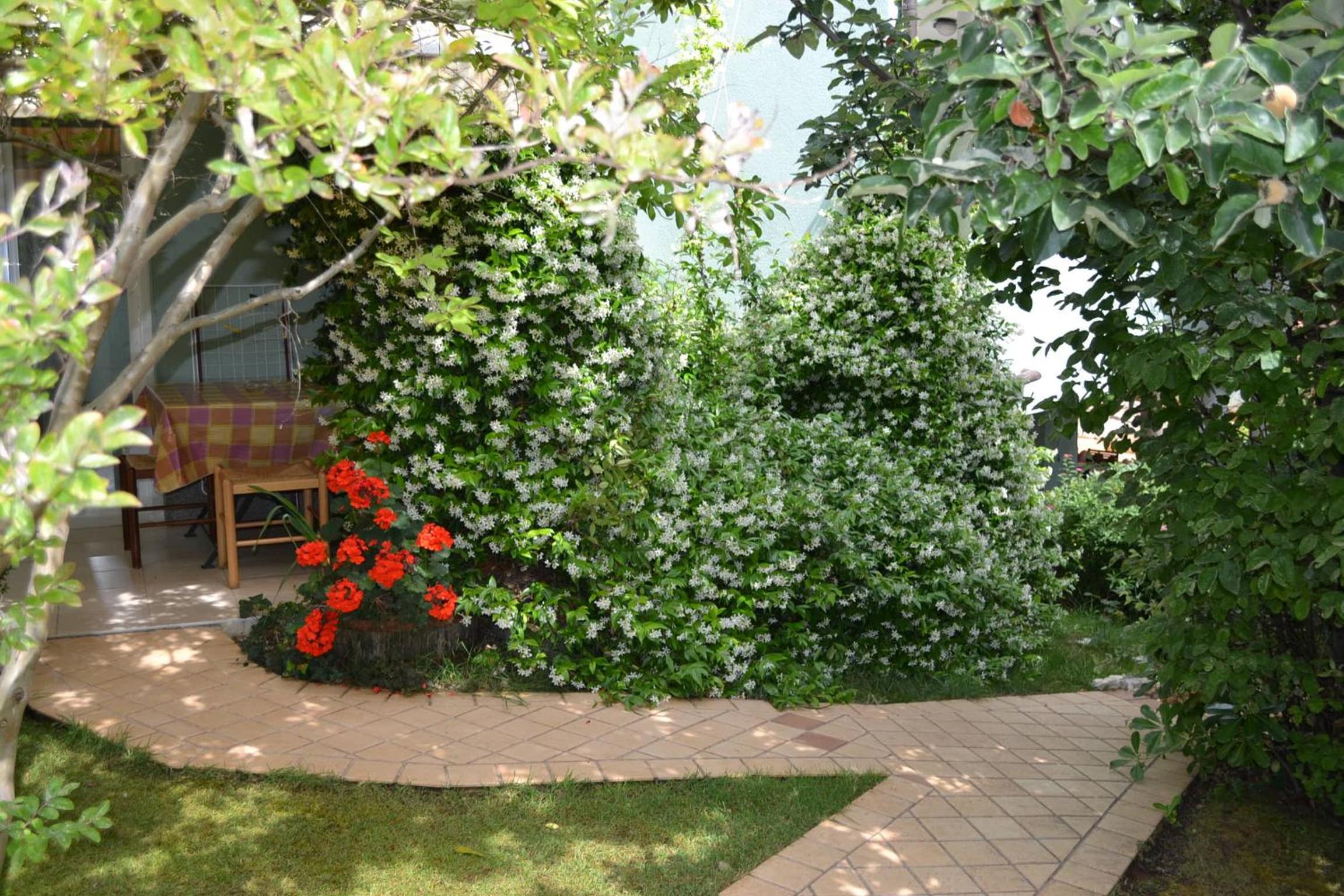 Studio with Patio photo 2