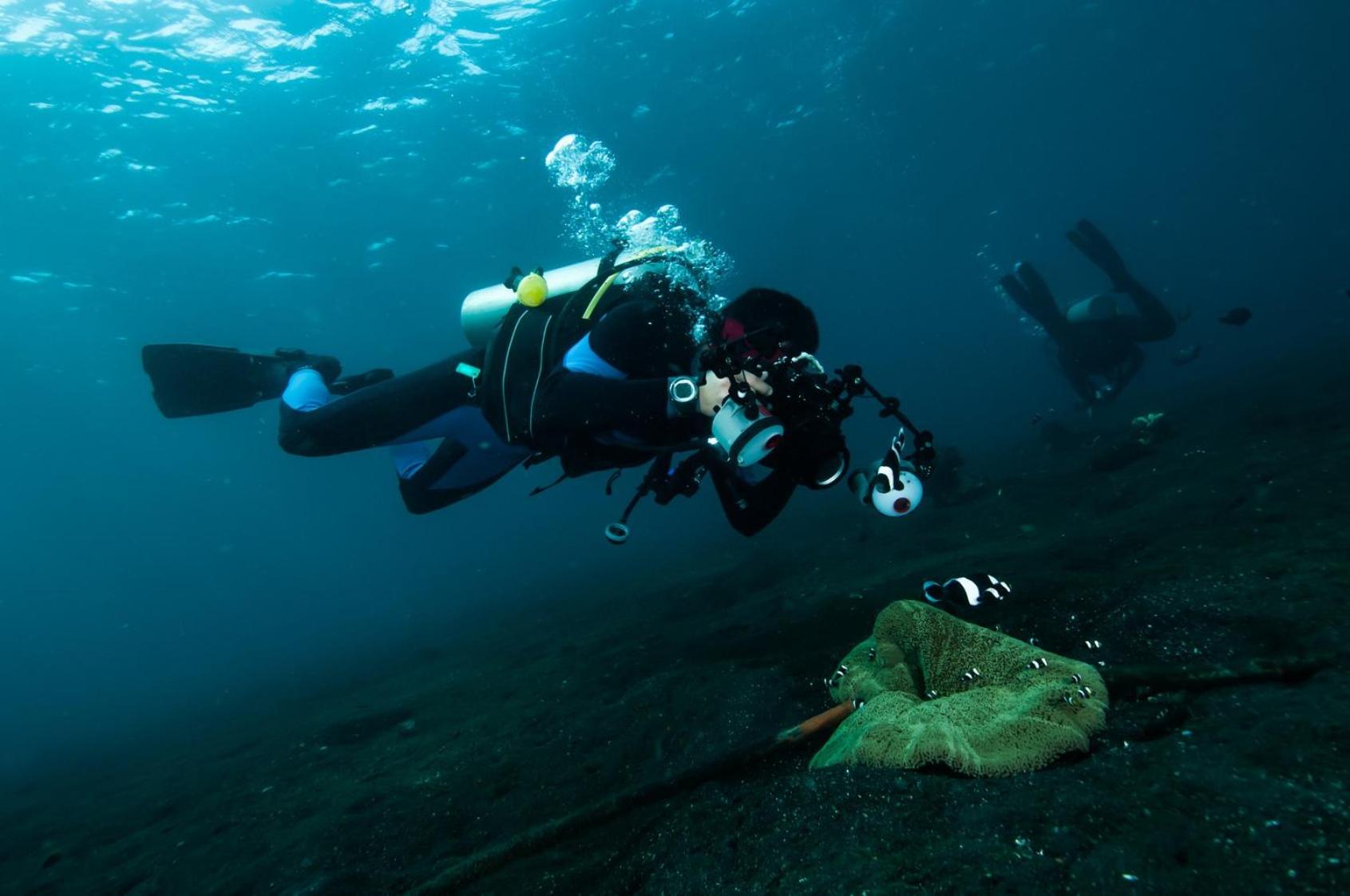Special Offer - Dive Package At Deluxe Room With Garden View photo 3