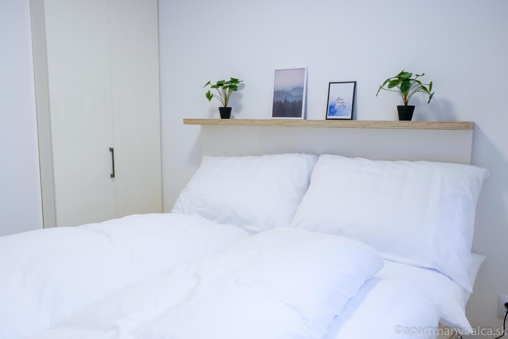 Superior One-Bedroom Apartment with Balcony
