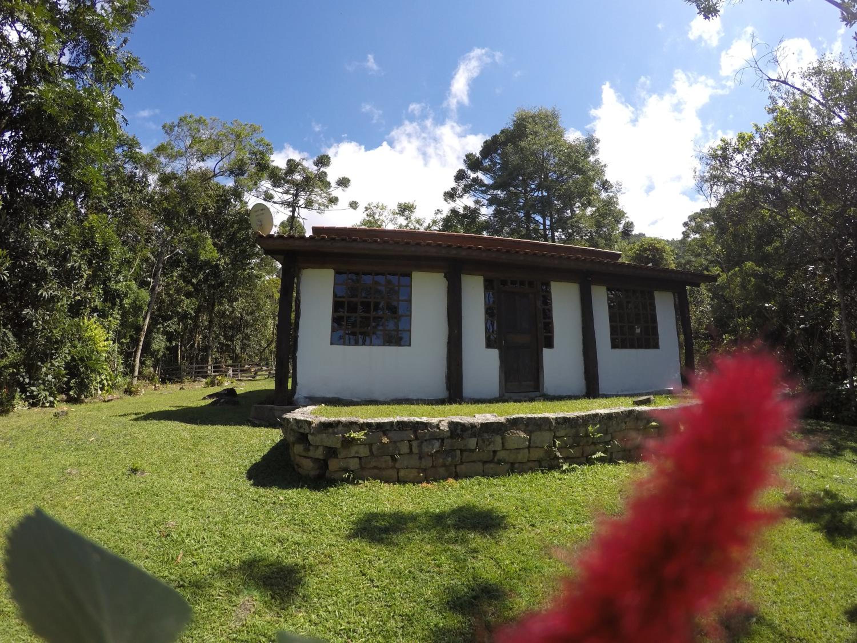 Small Cabin - Photo 69
