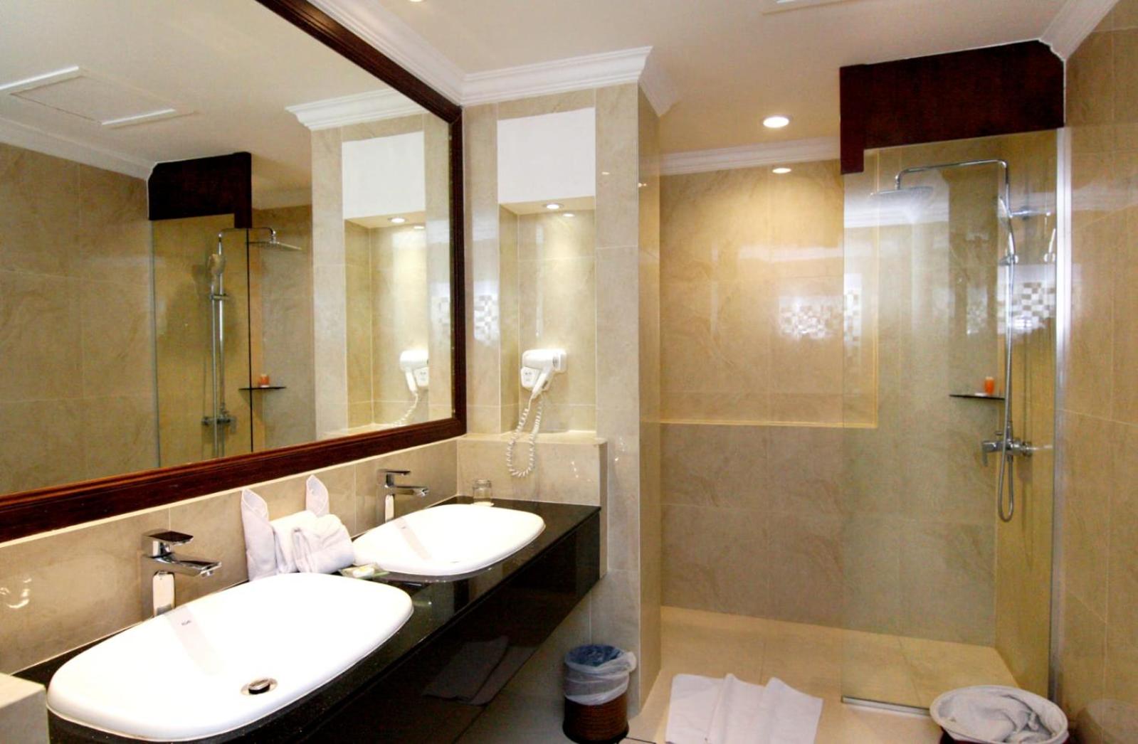 Deluxe Double or Twin Room photo 3