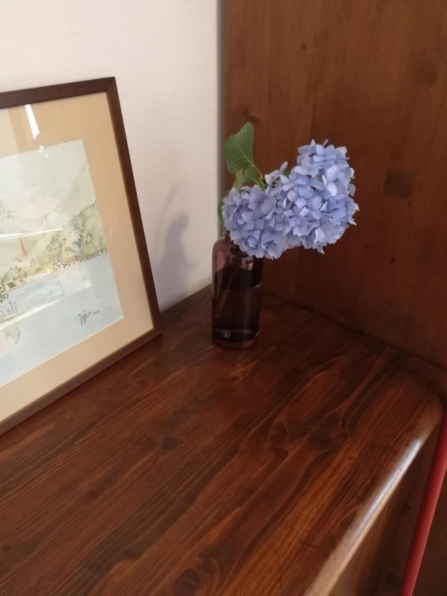 Apartment with Mountain View photo 3