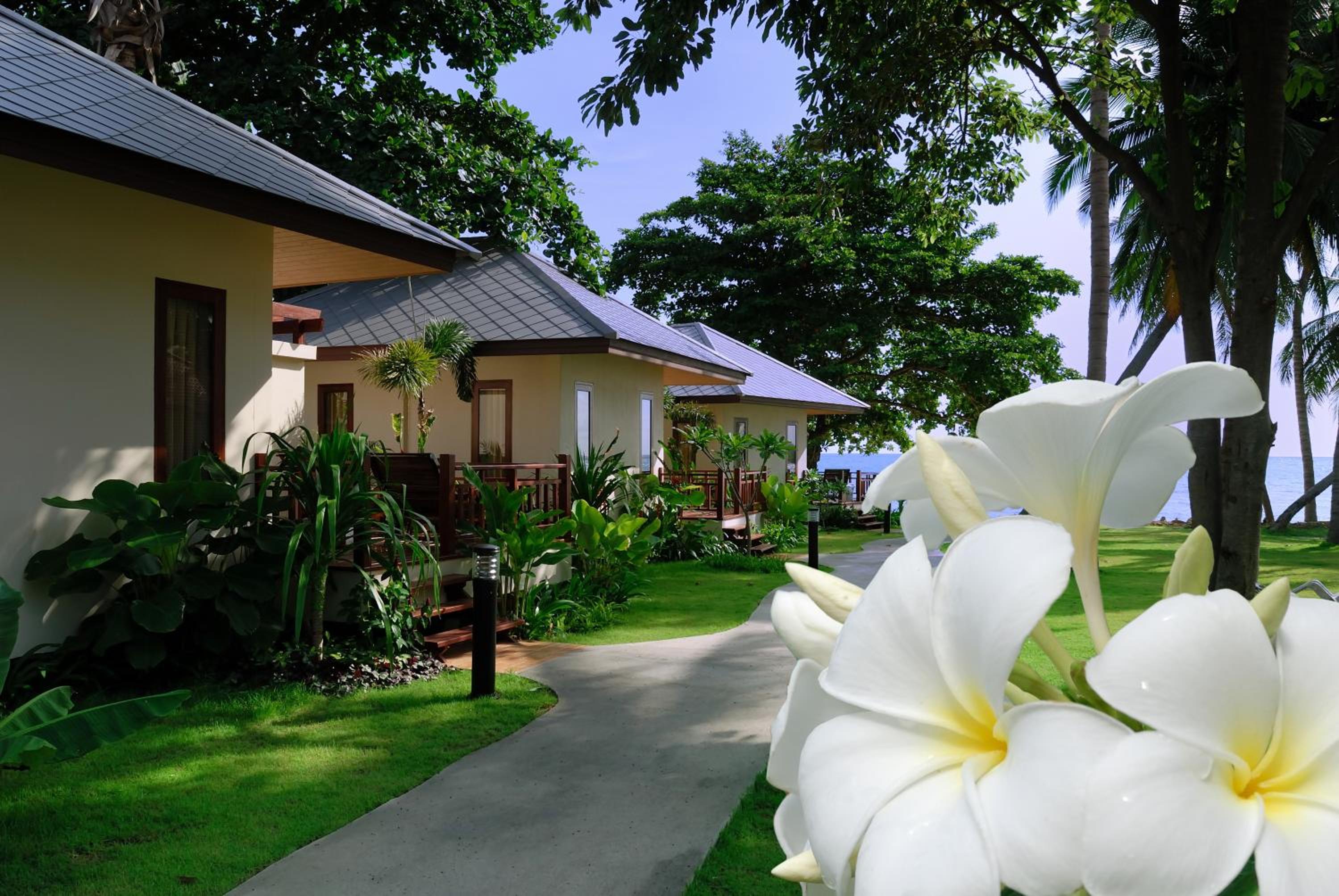 One-Bedroom Bungalow with Sea View photo 3