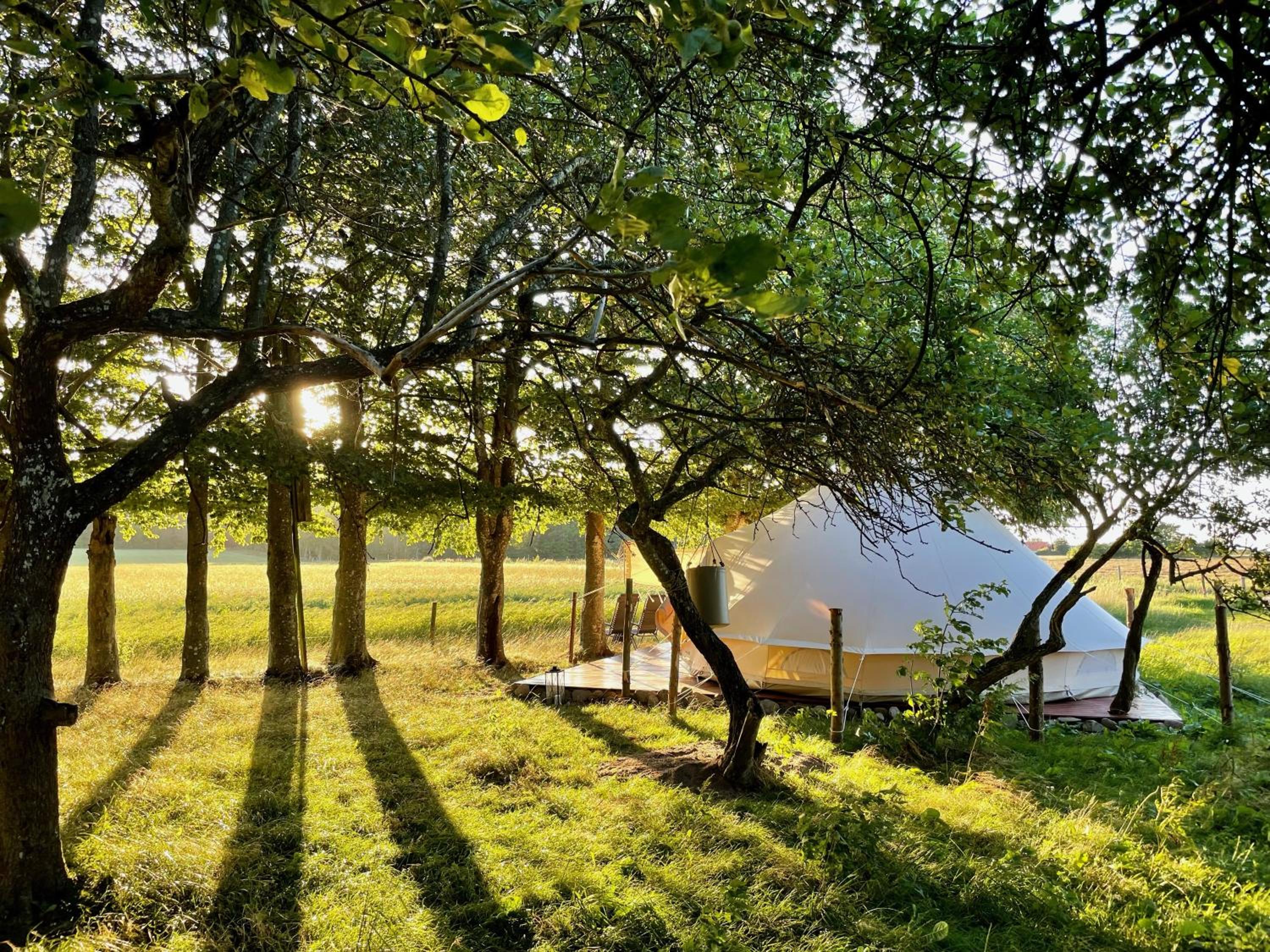 Luxury Tent Svalen photo 3