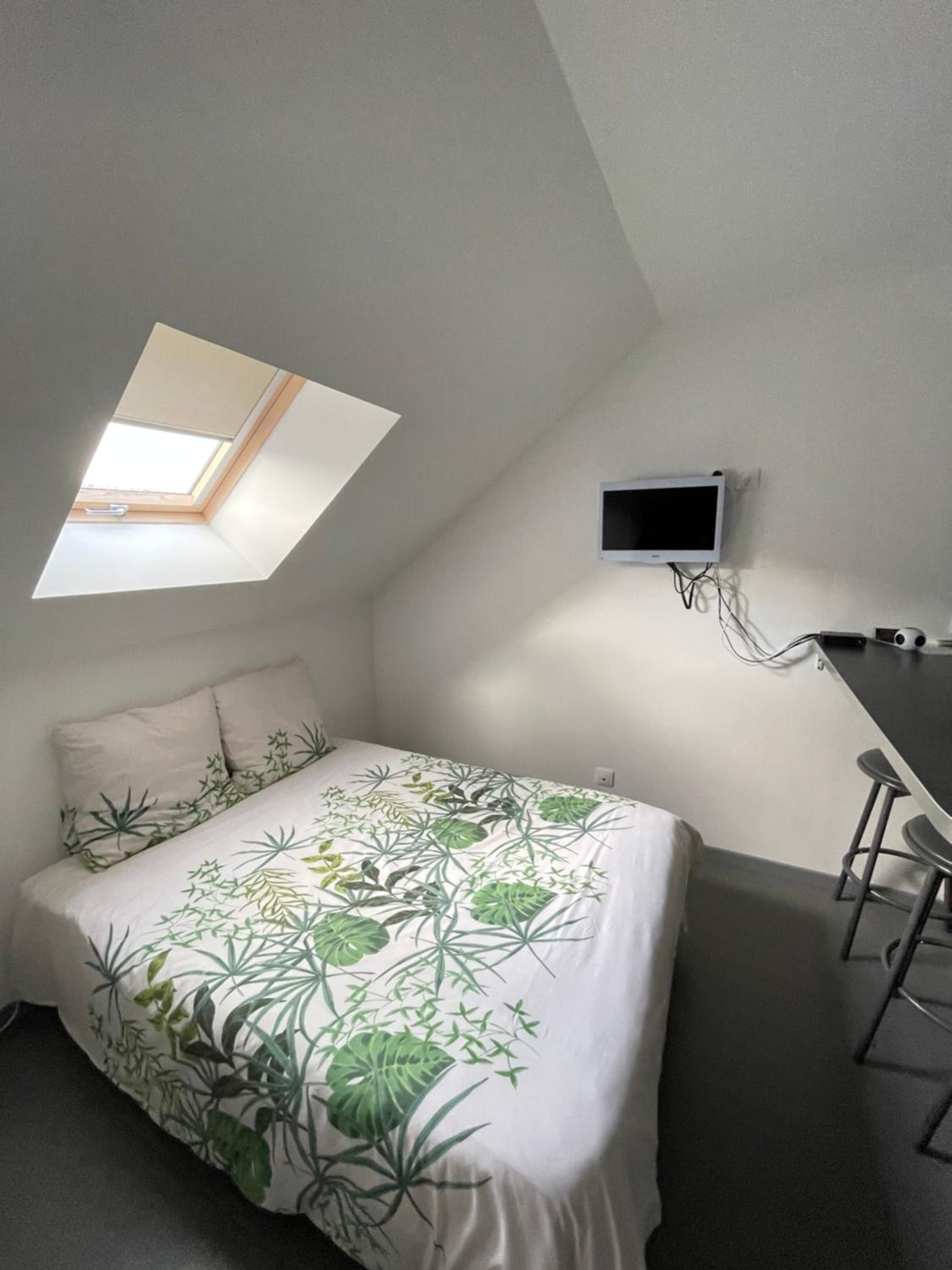 One-Bedroom House photo 3