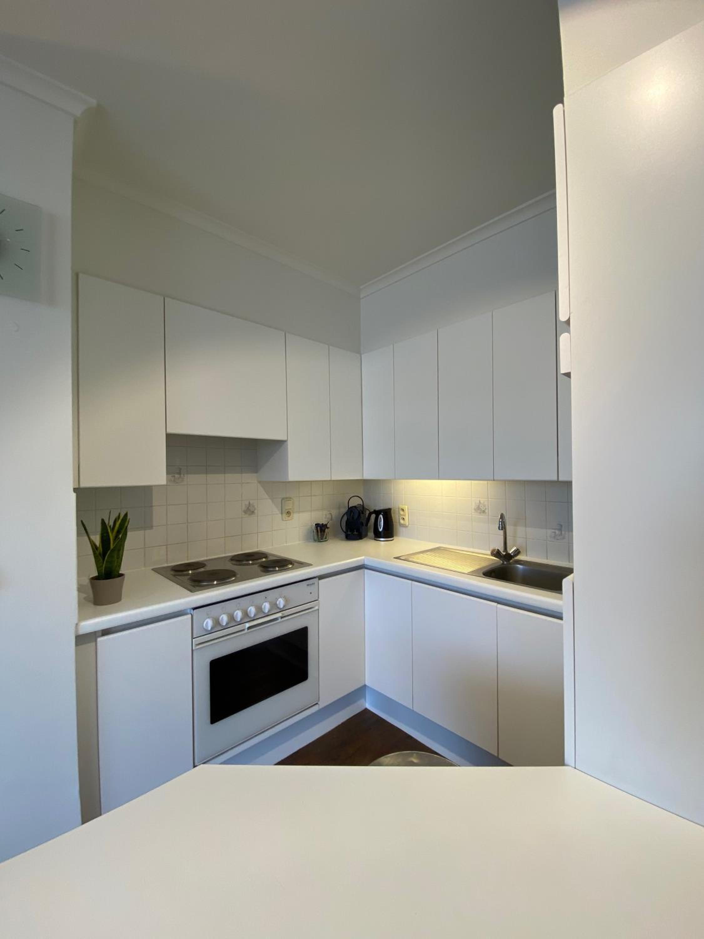 One-Bedroom Apartment photo 3