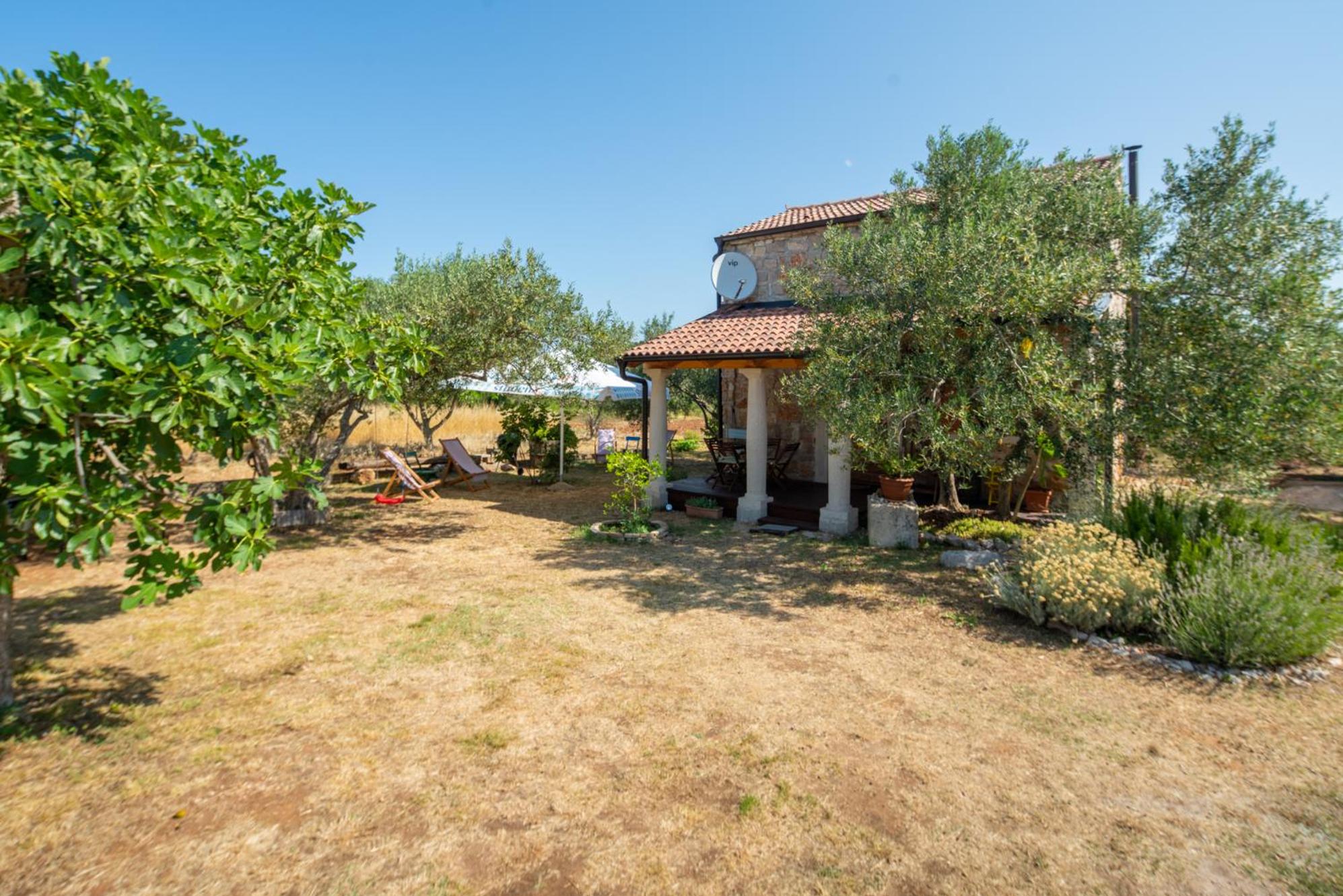 Vacation Home photo 2