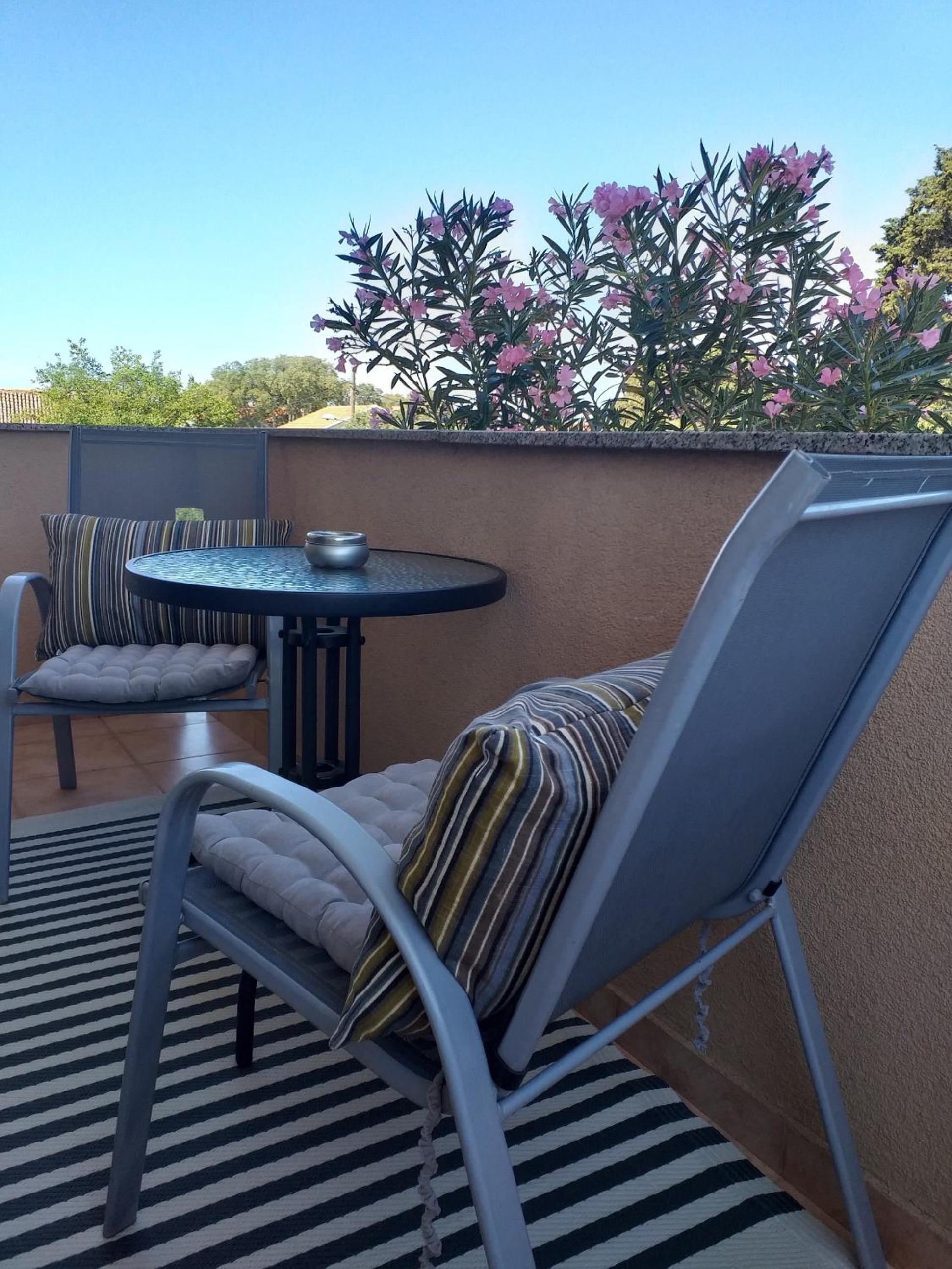 Studio with Balcony photo 2