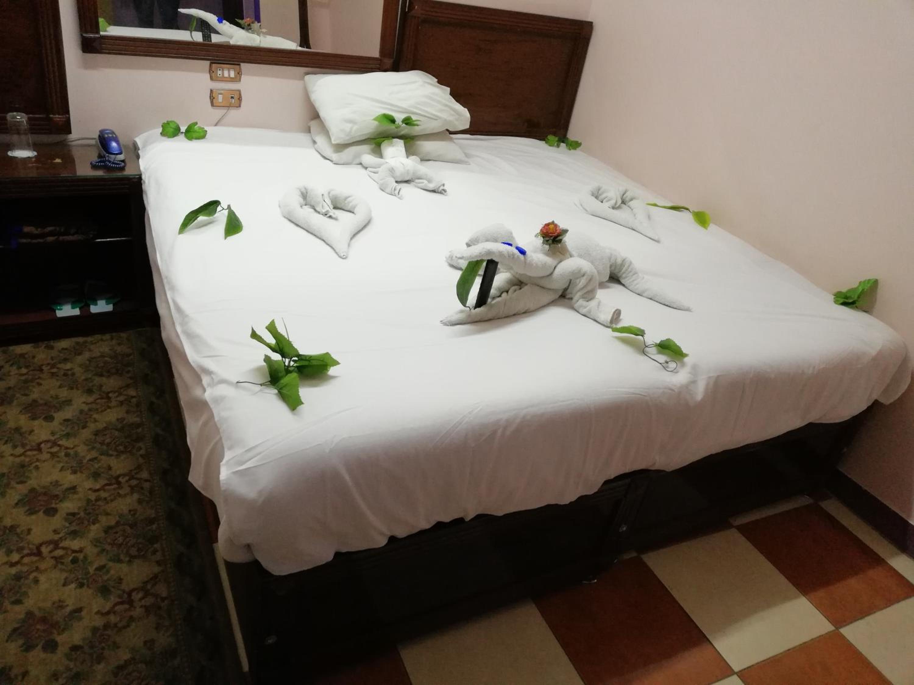 Large Double Room - Photo 3