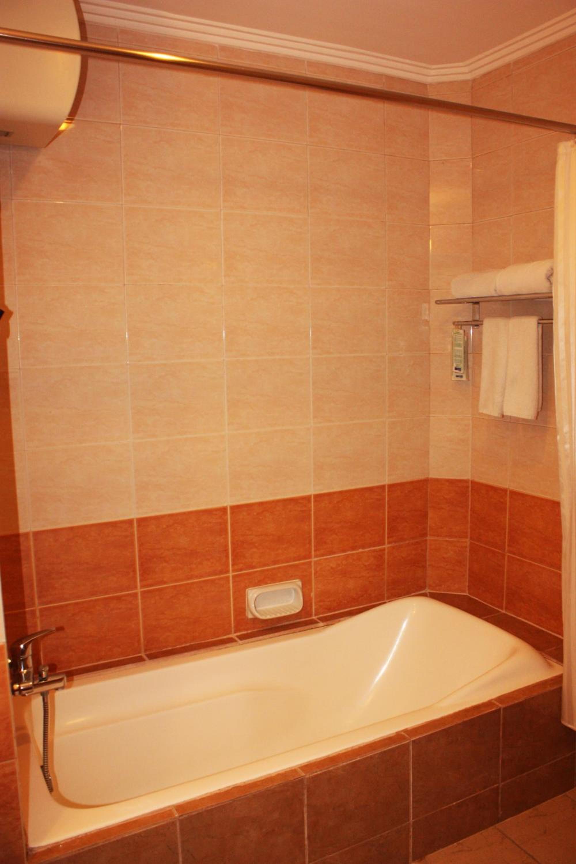 One-Bedroom Suite photo 3