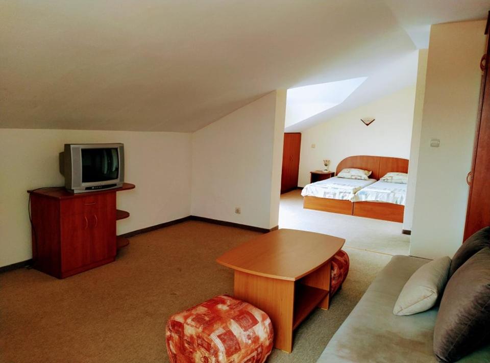 Studio with Sofa Bed photo 1