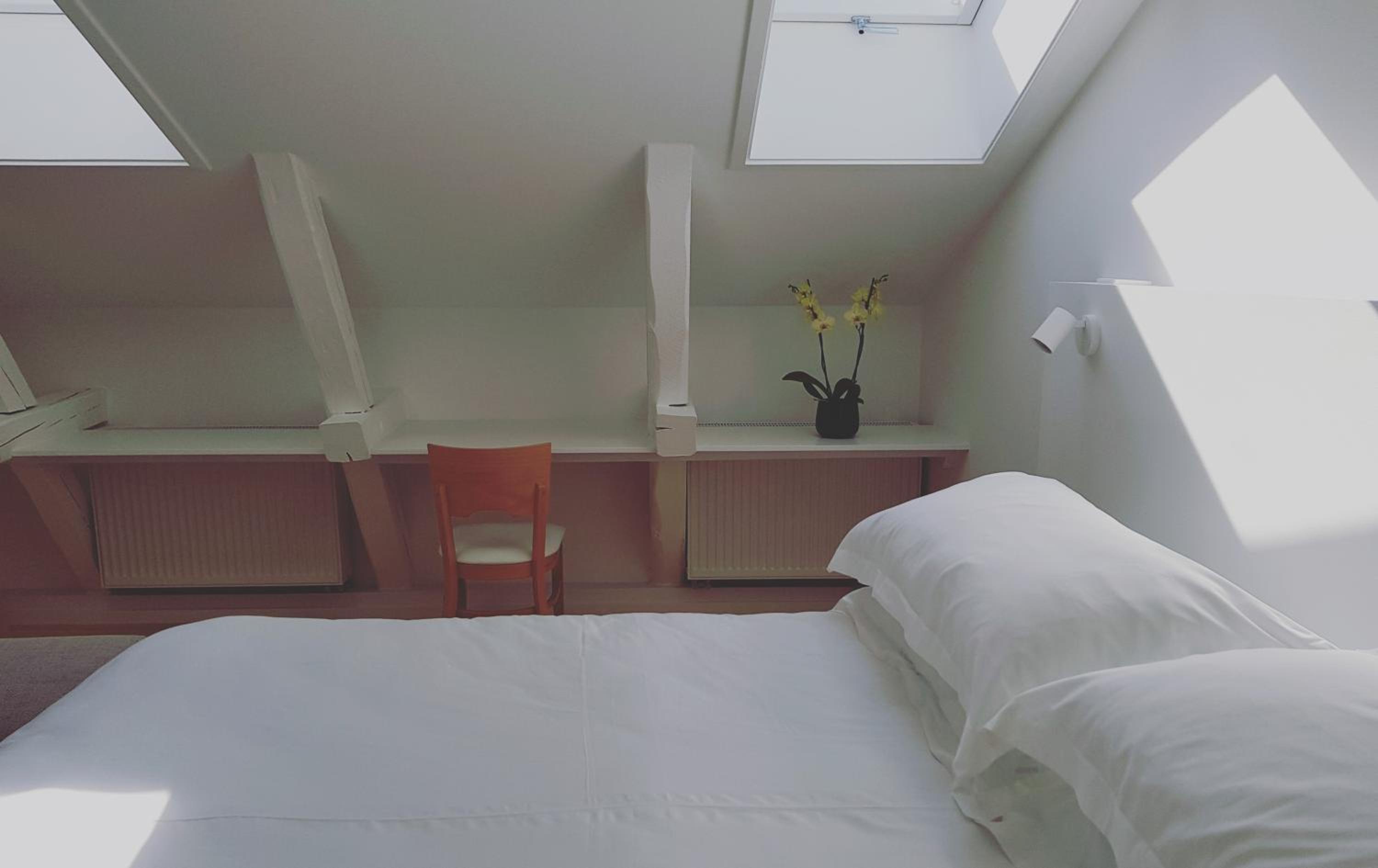 Superior King Room photo 2